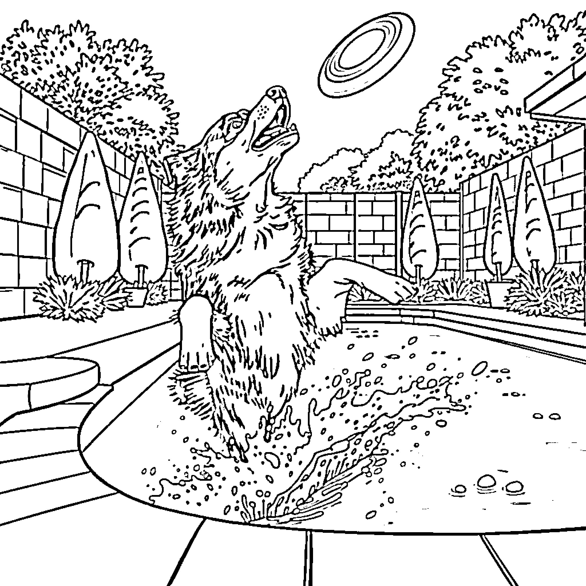 Australian Shepherd playing energetically in the backyard Coloring Page (free black-and-white line drawing printable PDF for all, from beginners to advanced learners, including children, teens, adults, and seniors)