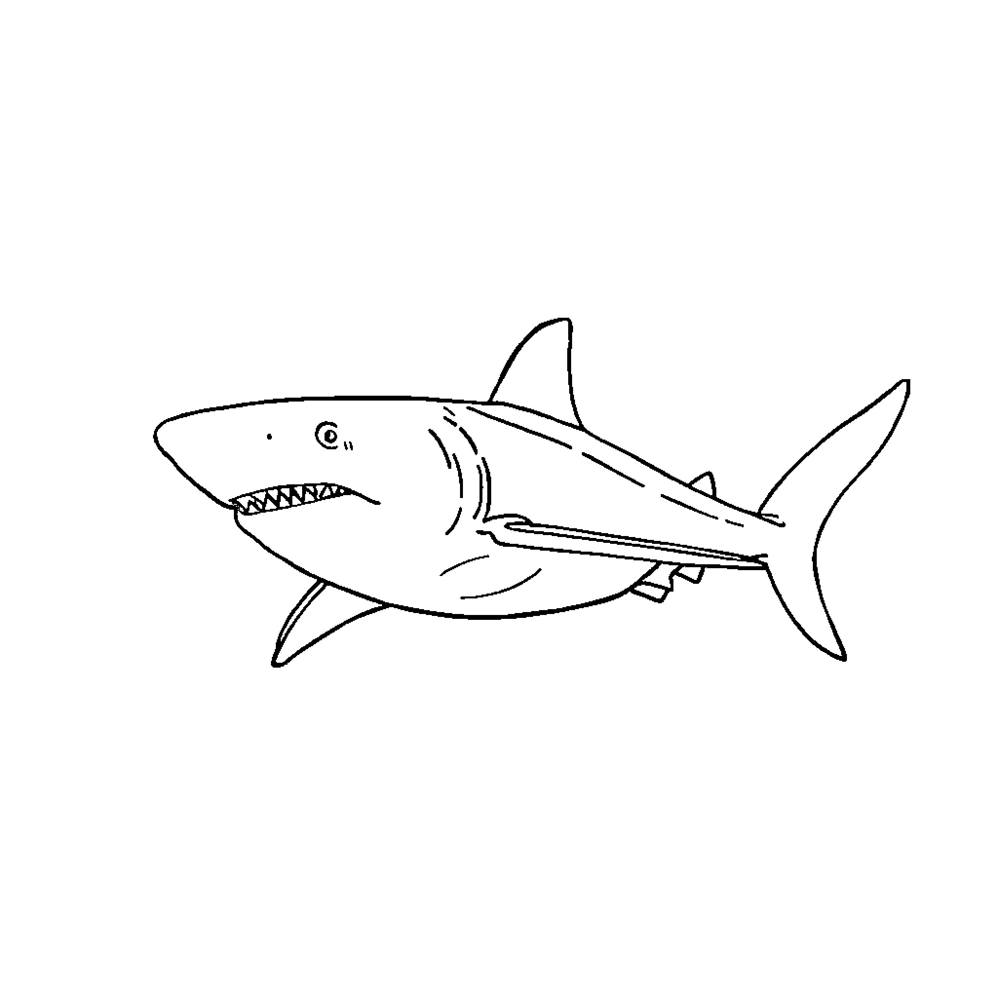 Shark swimming in the water Coloring Page (free black-and-white line drawing printable PDF for all, from beginners to advanced learners, including children, teens, adults, and seniors)