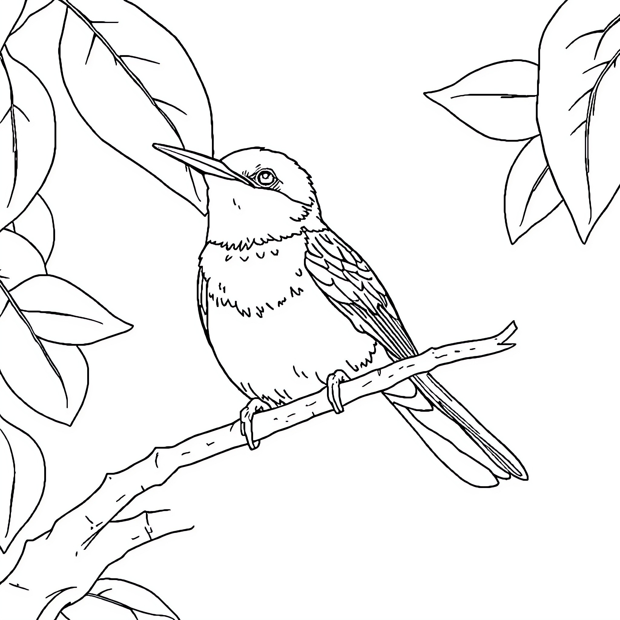 Bird perched on branch among leaves Coloring Page (free black-and-white line drawing printable PDF for all, from beginners to advanced learners, including children, teens, adults, and seniors)