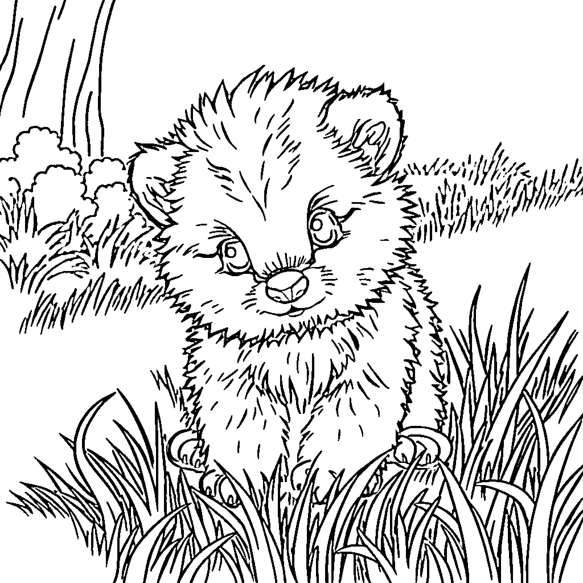 Baby Animal hiding in the tall grass Coloring Page (free black-and-white line drawing printable PDF for all, from beginners to advanced learners, including children, teens, adults, and seniors)