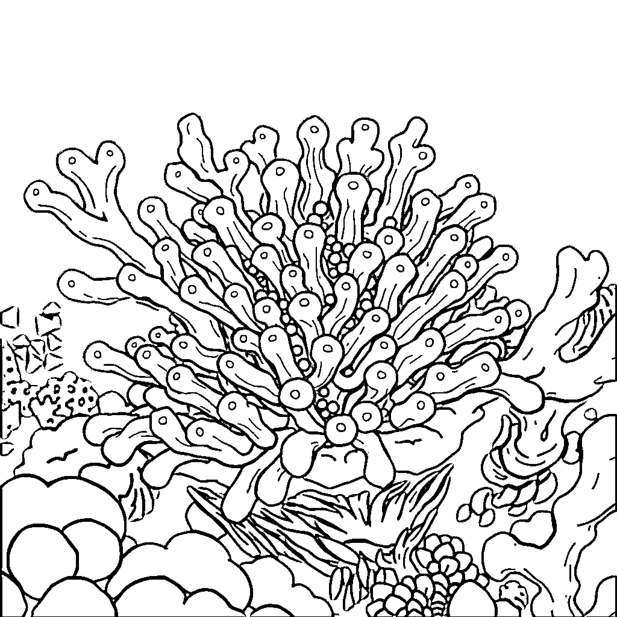 Zooxanthellae interacting with a diverse marine ecosystem Coloring Page (free black-and-white line drawing printable PDF for all, from beginners to advanced learners, including children, teens, adults, and seniors)