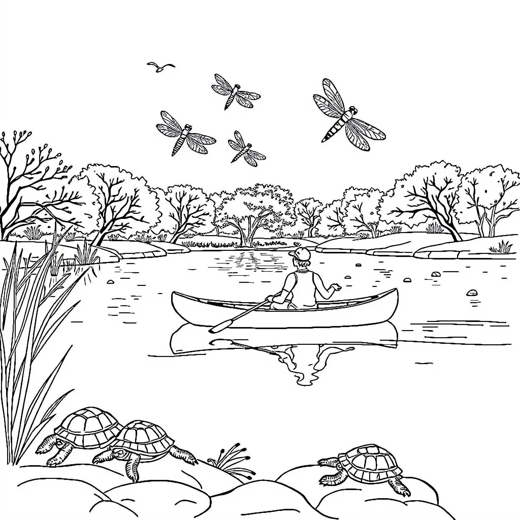 Canoeing with dragonflies in a serene pond Coloring Page (free black-and-white line drawing printable PDF for all, from beginners to advanced learners, including children, teens, adults, and seniors)