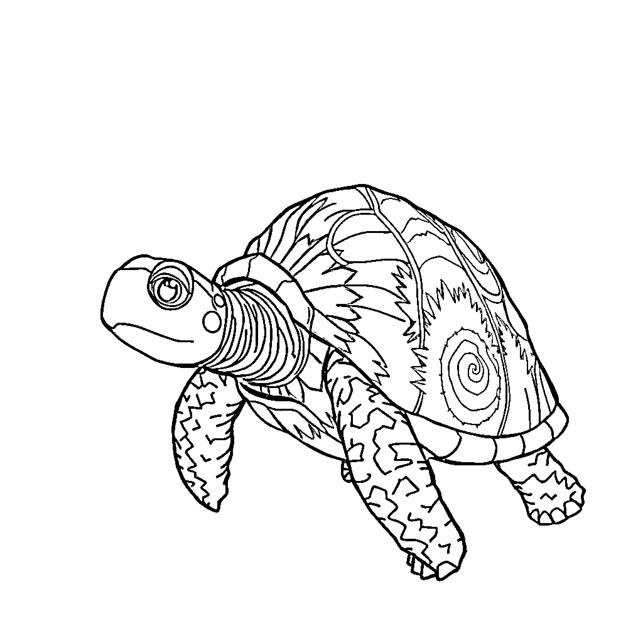 Turtle with intricate patterned shell Coloring Page (free black-and-white line drawing printable PDF for all, from beginners to advanced learners, including children, teens, adults, and seniors)