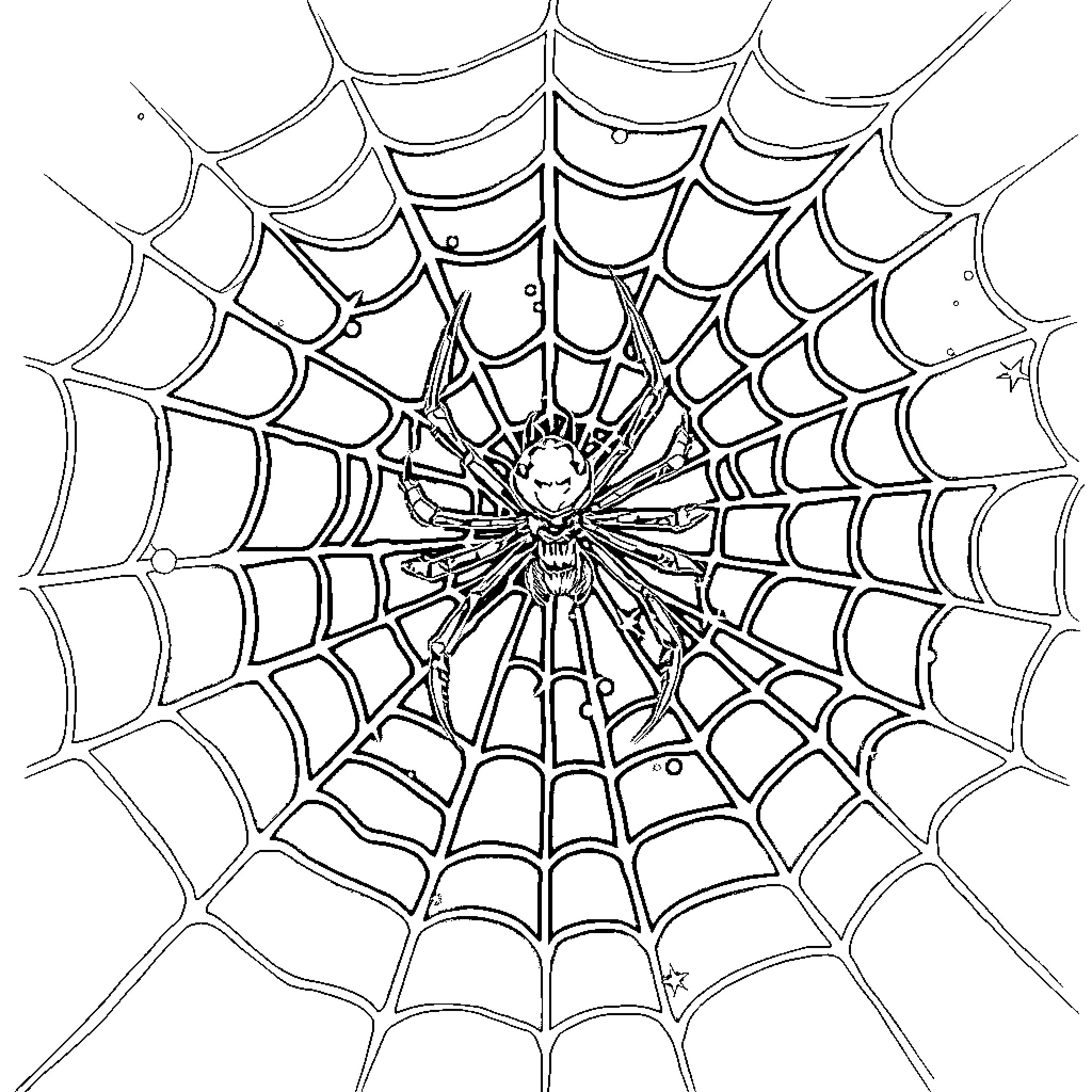 Spider on intricate web structure Coloring Page (free black-and-white line drawing printable PDF for all, from beginners to advanced learners, including children, teens, adults, and seniors)