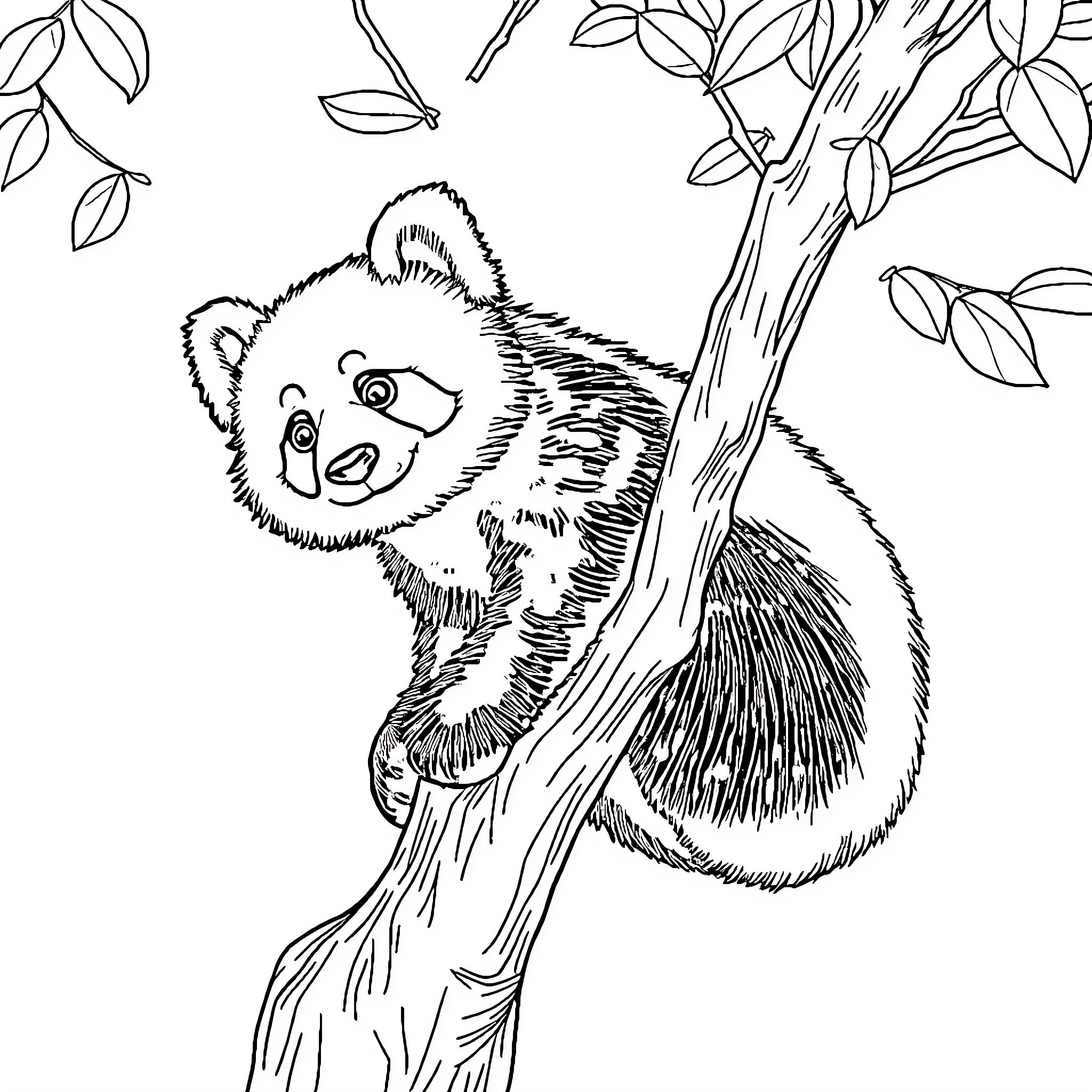 Panda climbing playfully on tree branch Coloring Page (free black-and-white line drawing printable PDF for all, from beginners to advanced learners, including children, teens, adults, and seniors)