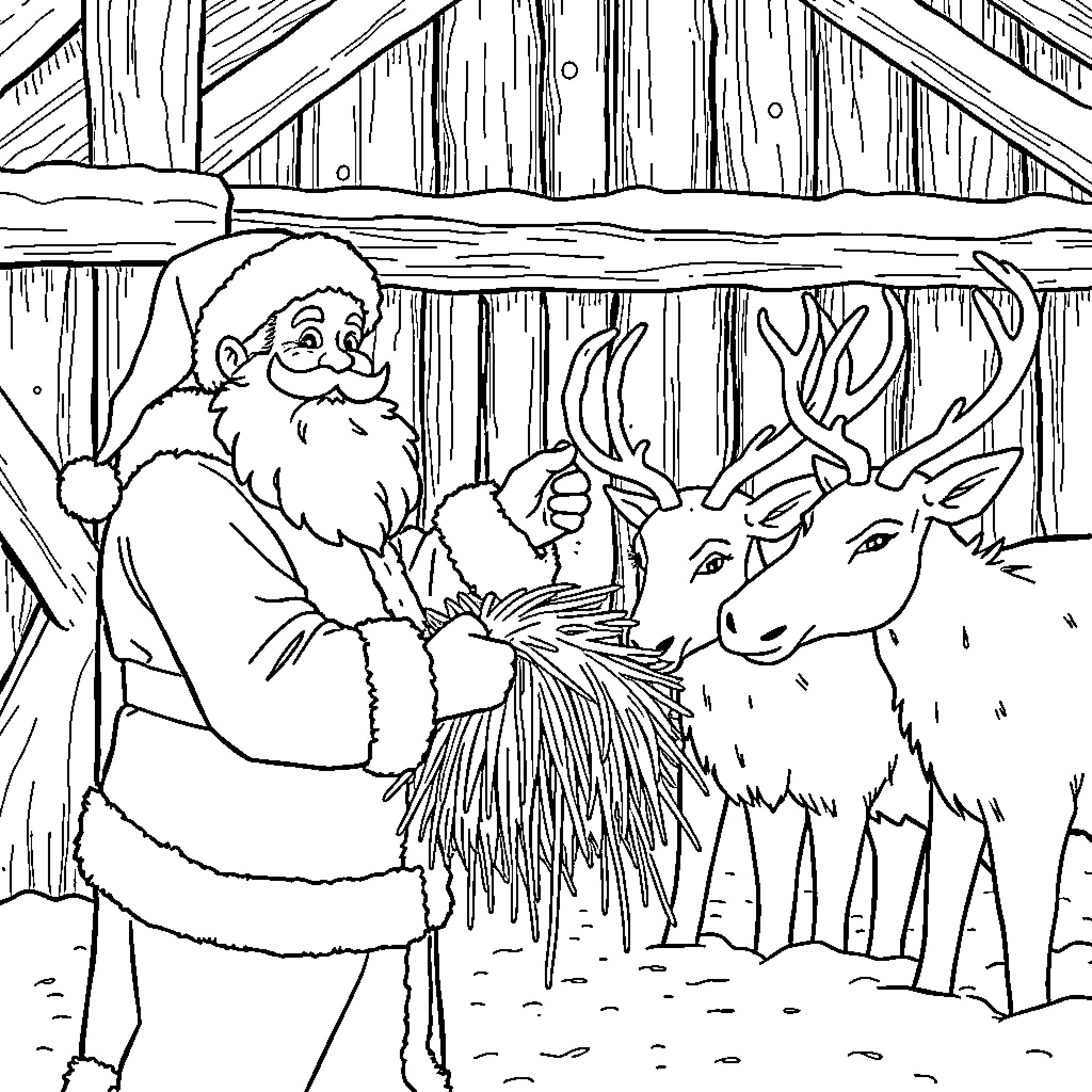 Santa Claus feeding reindeer in the barn Coloring Page (free black-and-white line drawing printable PDF for all, from beginners to advanced learners, including children, teens, adults, and seniors)