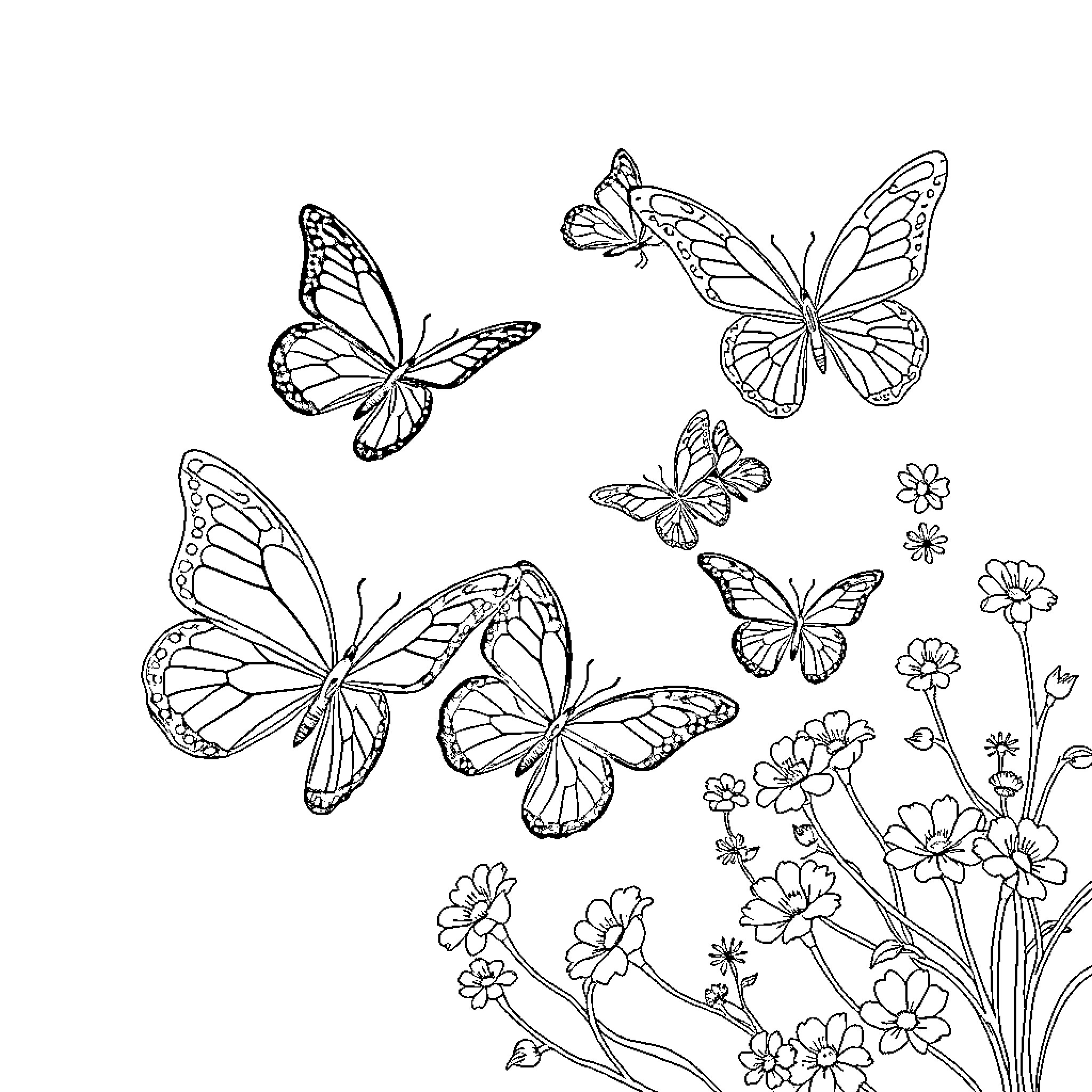 Butterfly dance among the flowers Coloring Page (free black-and-white line drawing printable PDF for all, from beginners to advanced learners, including children, teens, adults, and seniors)