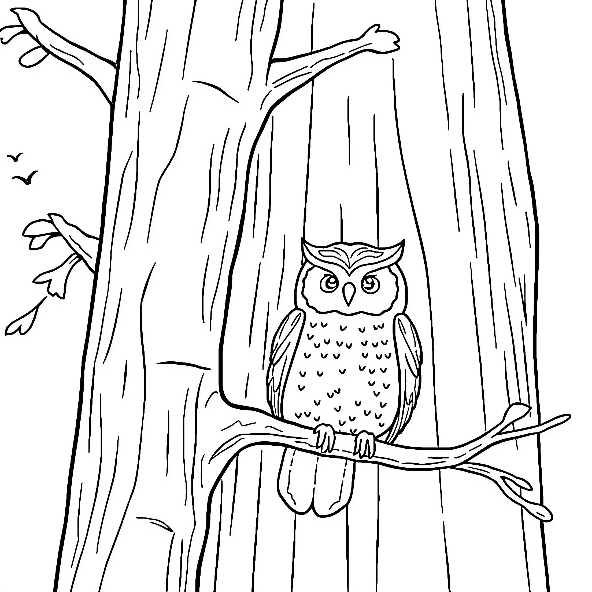 Owl perched in a mystical forest Coloring Page (free black-and-white line drawing printable PDF for all, from beginners to advanced learners, including children, teens, adults, and seniors)