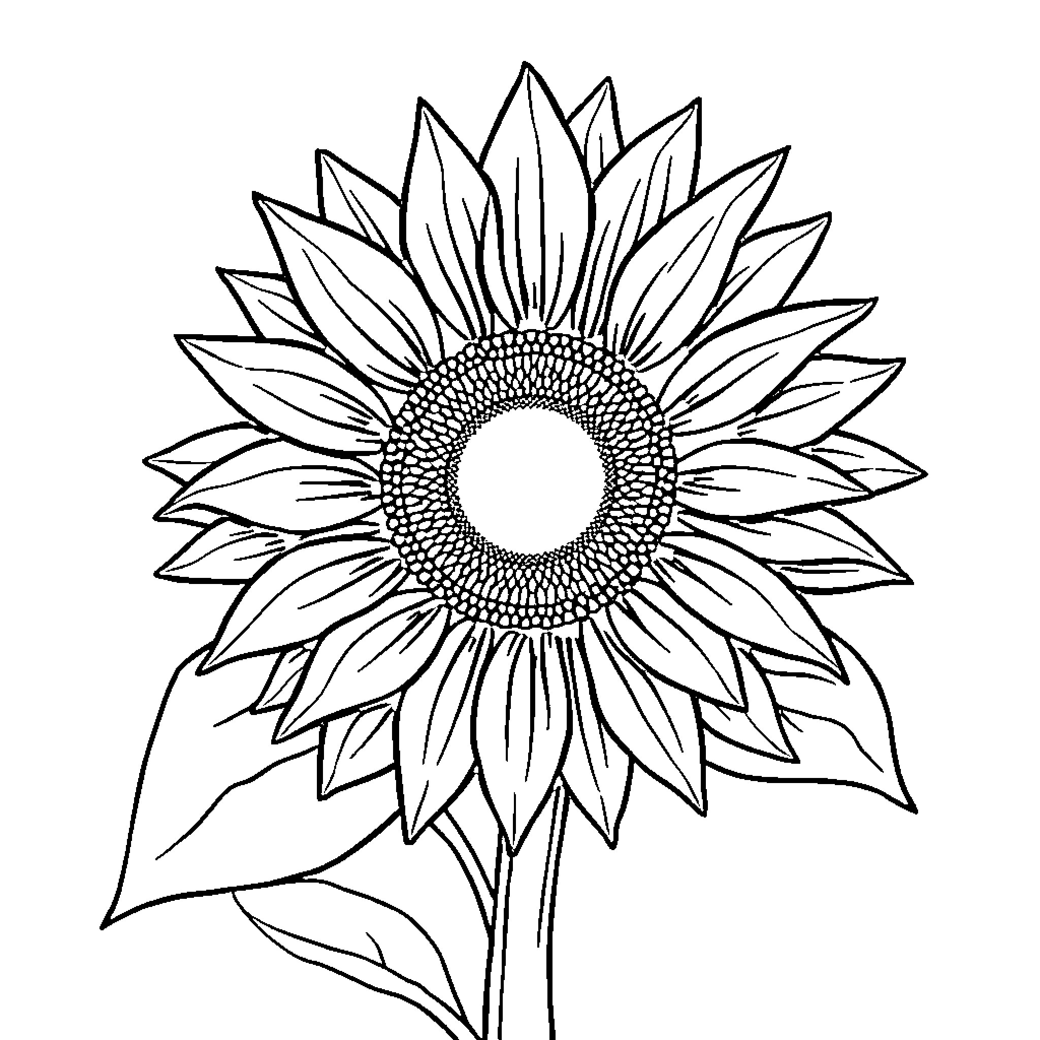 Sunflower in detailed sketch Coloring Page (free black-and-white line drawing printable PDF for all, from beginners to advanced learners, including children, teens, adults, and seniors)