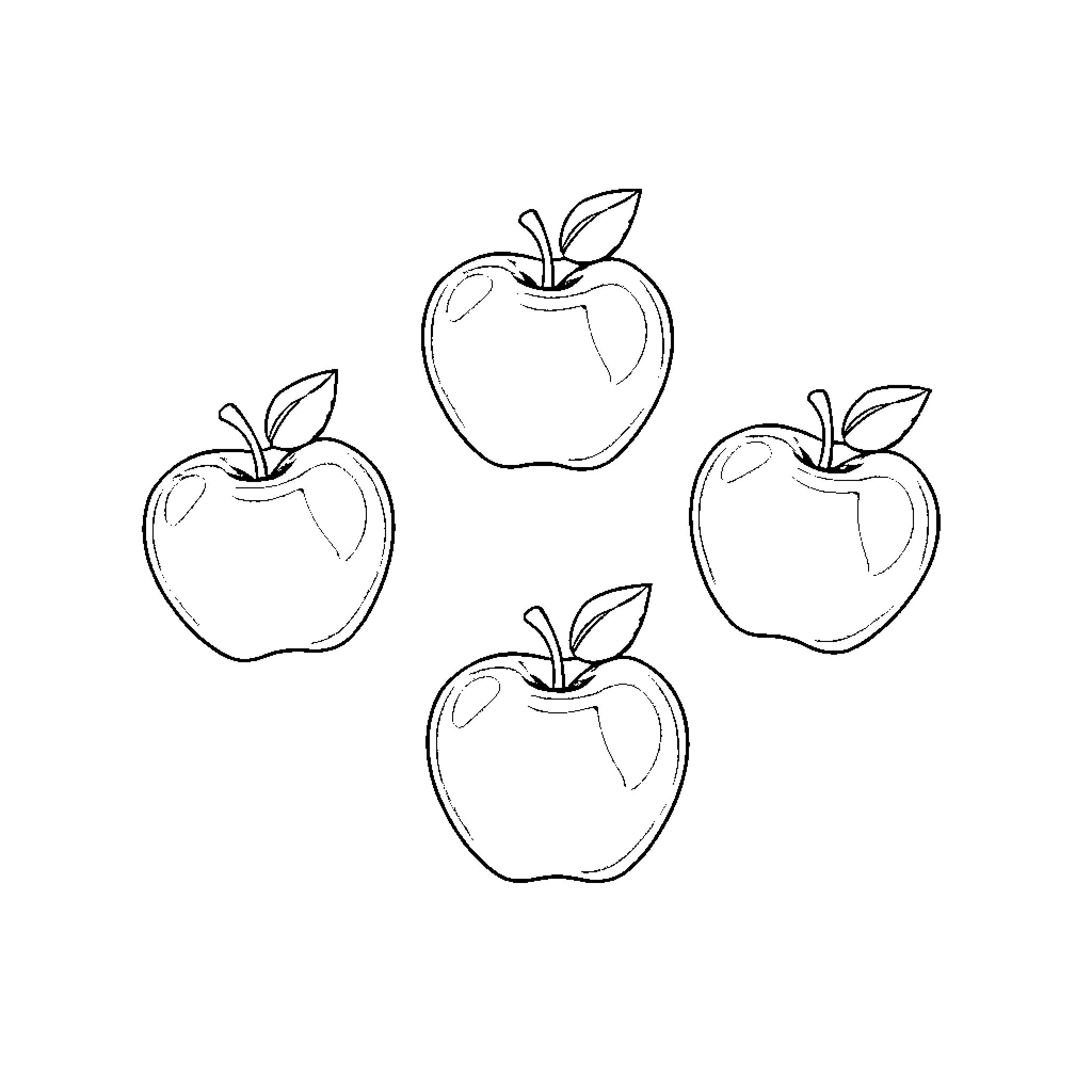 Apple Outlines in Simple Sketch Coloring Page (free black-and-white line drawing printable PDF for all, from beginners to advanced learners, including children, teens, adults, and seniors)
