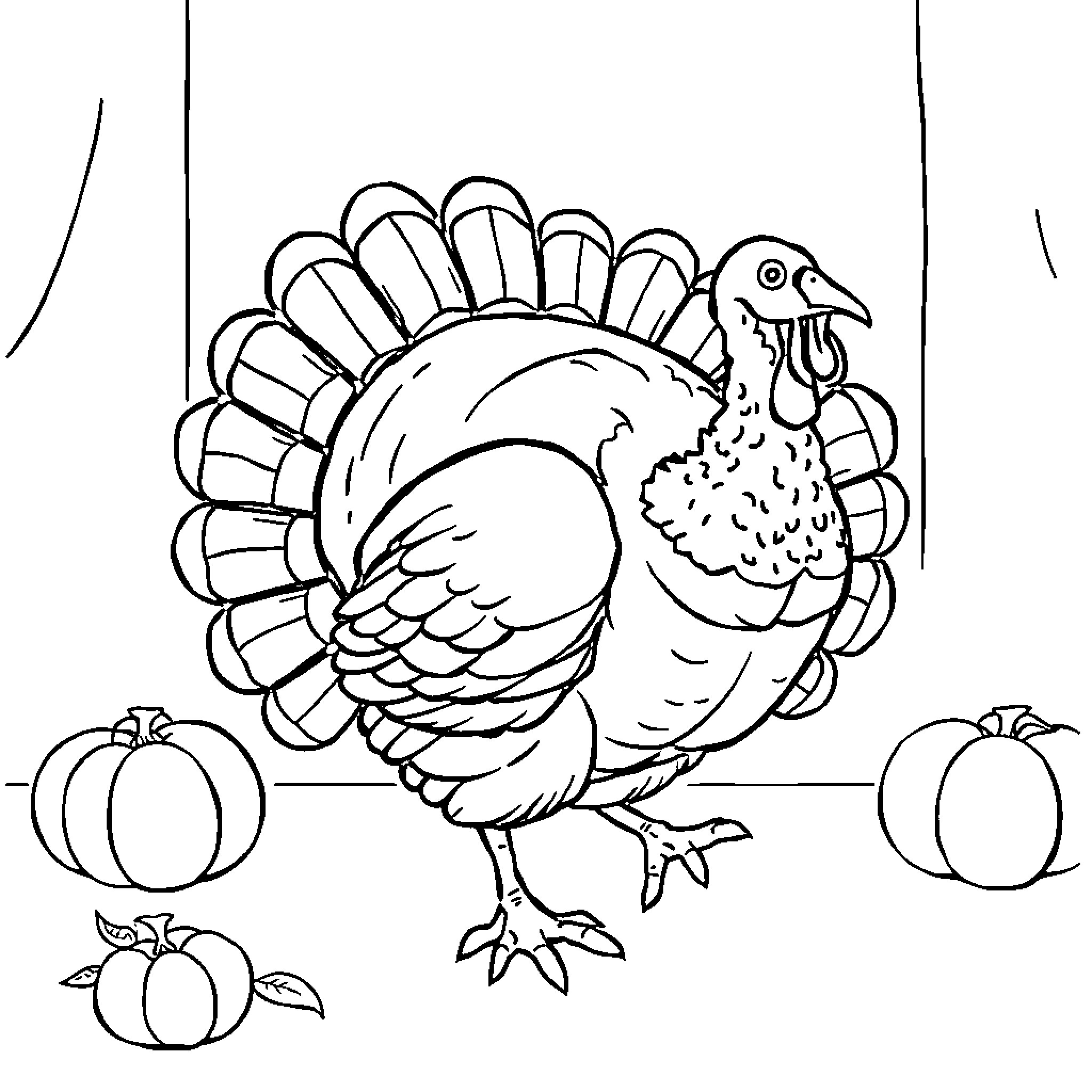 Turkey with festive plumage near pumpkins Coloring Page (free black-and-white line drawing printable PDF for all, from beginners to advanced learners, including children, teens, adults, and seniors)
