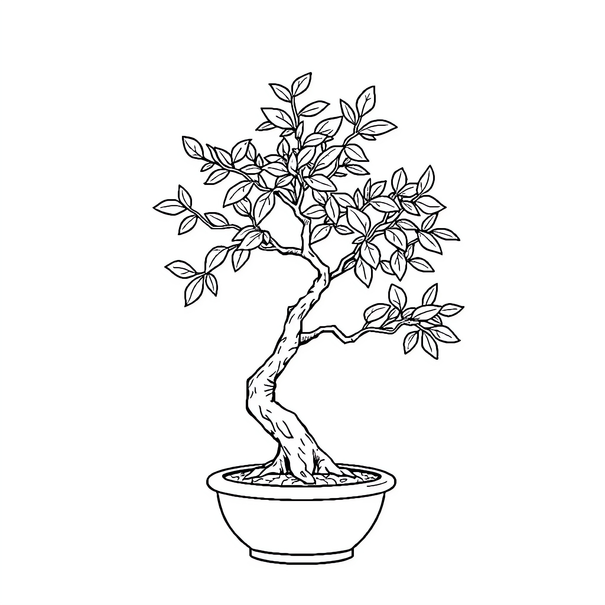 Bonsai Tree in Decorative Pot Coloring Page (free black-and-white line drawing printable PDF for all, from beginners to advanced learners, including children, teens, adults, and seniors)