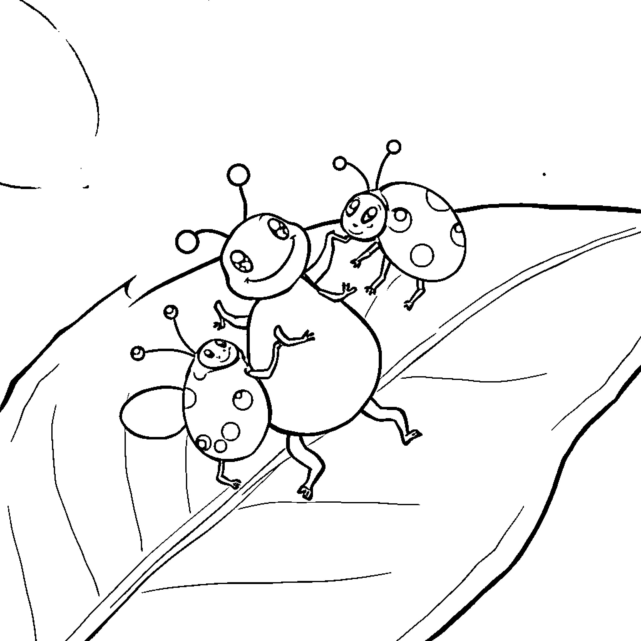Ladybugs playing joyfully in the garden Coloring Page (free black-and-white line drawing printable PDF for all, from beginners to advanced learners, including children, teens, adults, and seniors)