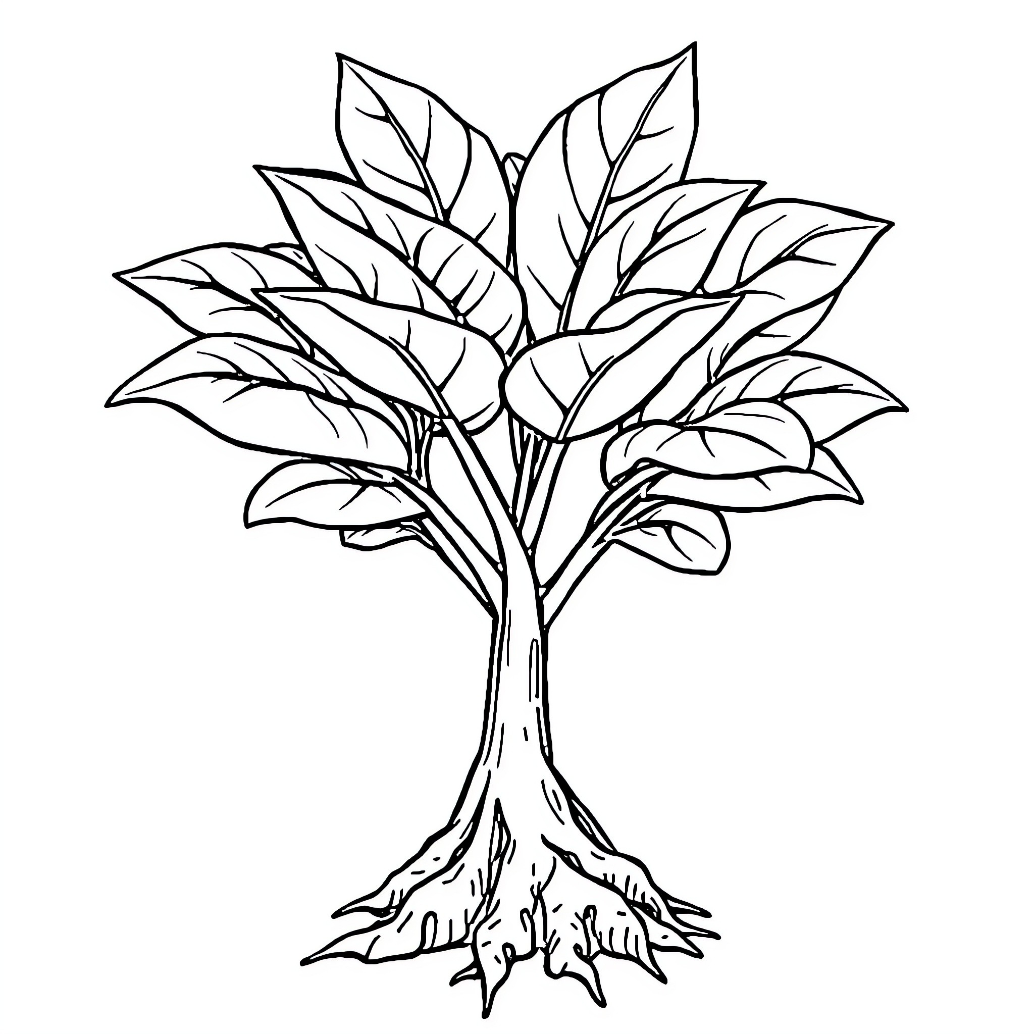 Brainroot tree with intricate branches and leaves Coloring Page (free black-and-white line drawing printable PDF for all, from beginners to advanced learners, including children, teens, adults, and seniors)