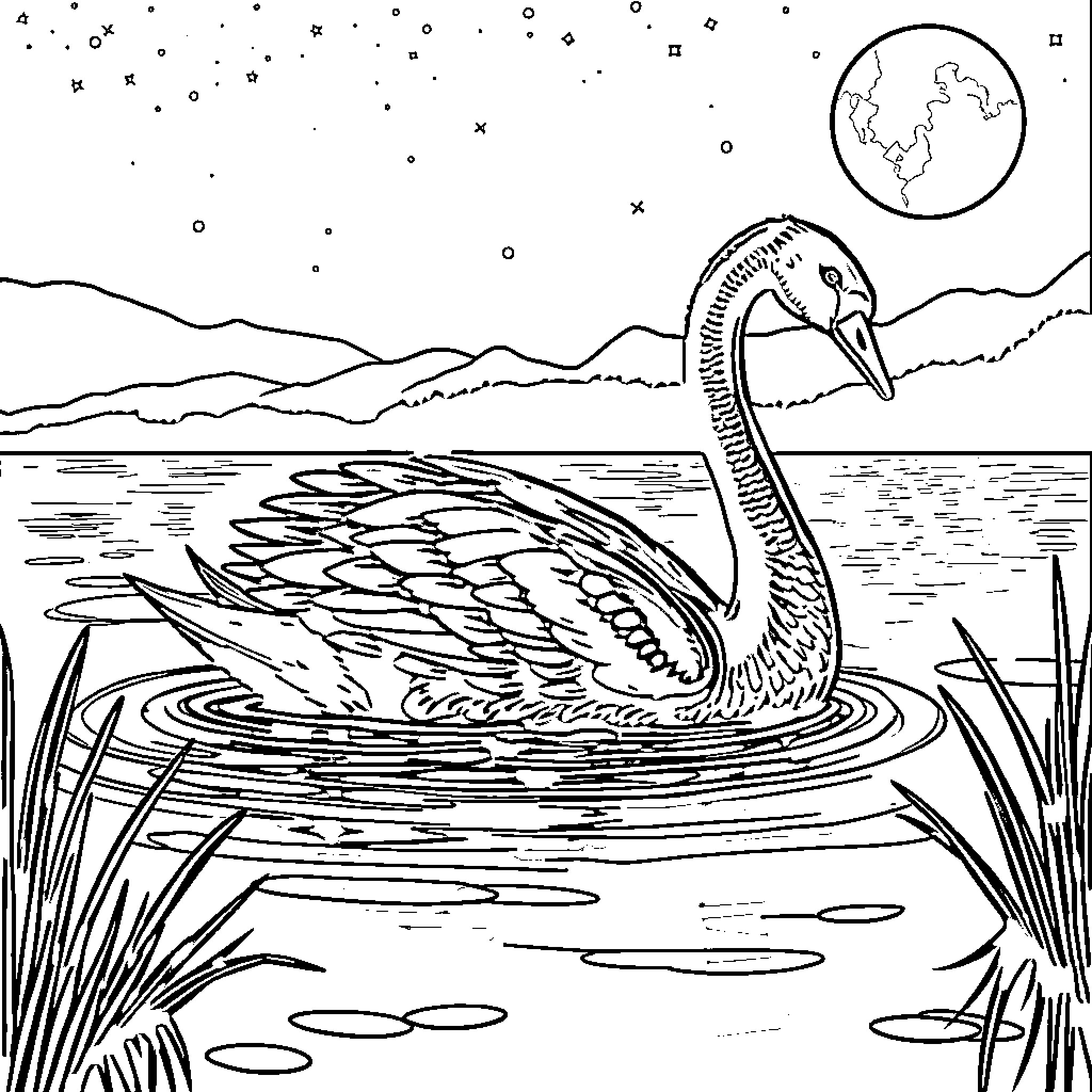 Swan Gliding Gracefully on a Serene Lake Coloring Page (free black-and-white line drawing printable PDF for all, from beginners to advanced learners, including children, teens, adults, and seniors)