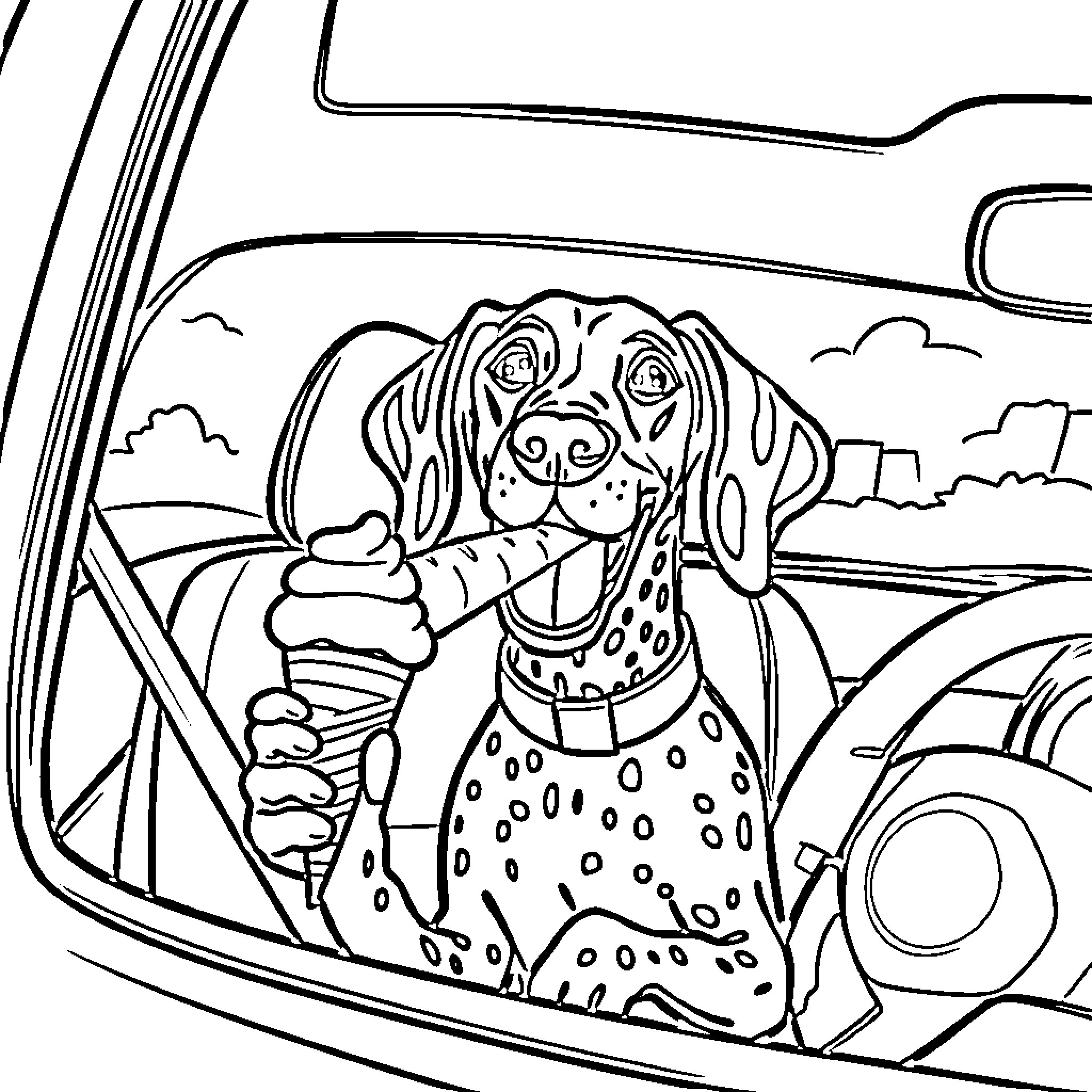 German Shorthaired Pointer riding in a car Coloring Page (free black-and-white line drawing printable PDF for all, from beginners to advanced learners, including children, teens, adults, and seniors)