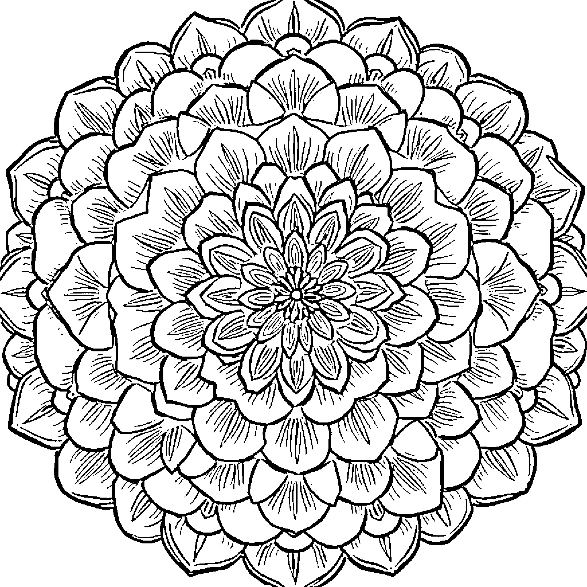 Rose Floral Mandala Sketch Coloring Page (free black-and-white line drawing printable PDF for all, from beginners to advanced learners, including children, teens, adults, and seniors)