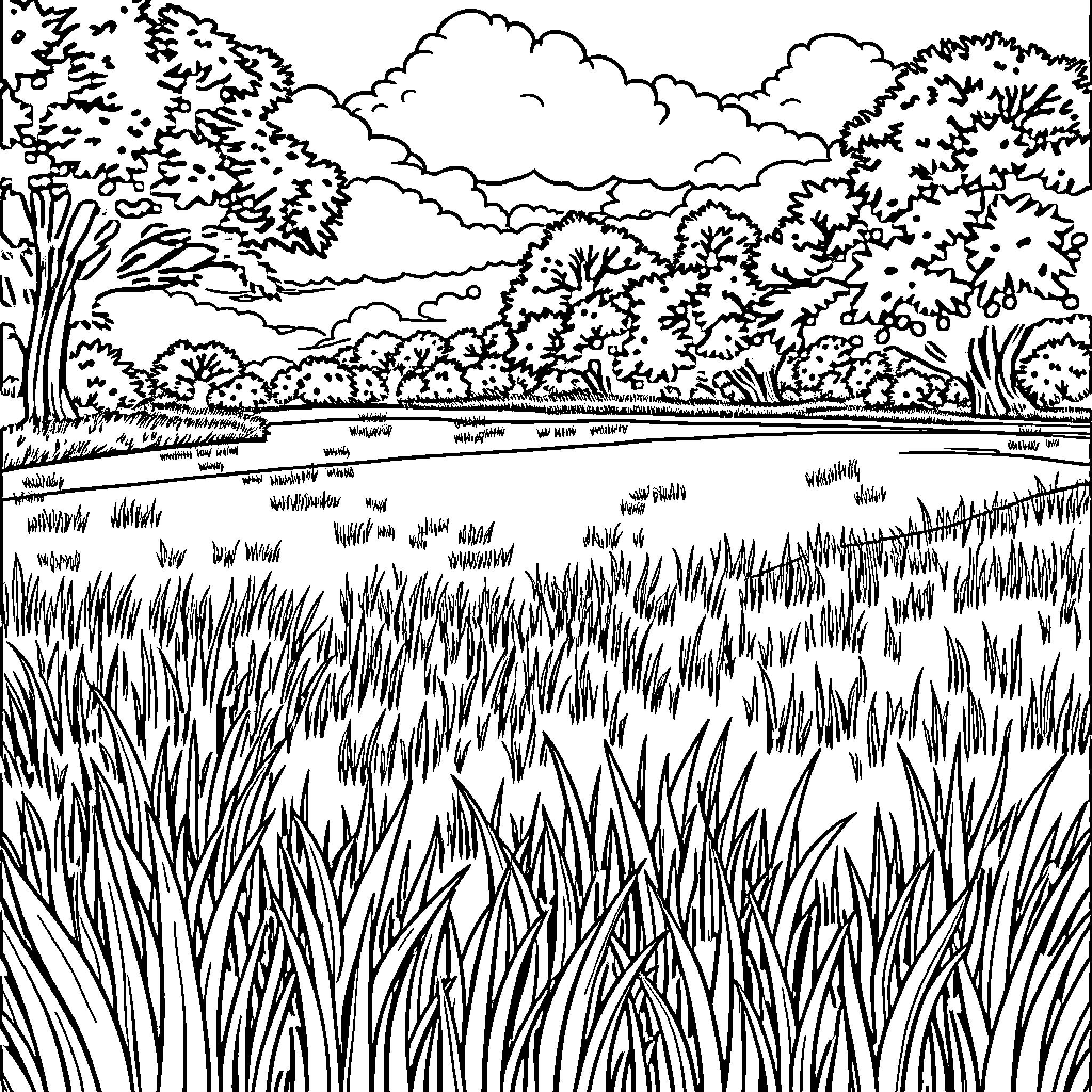 Cricket match in a lush countryside landscape Coloring Page (free black-and-white line drawing printable PDF for all, from beginners to advanced learners, including children, teens, adults, and seniors)