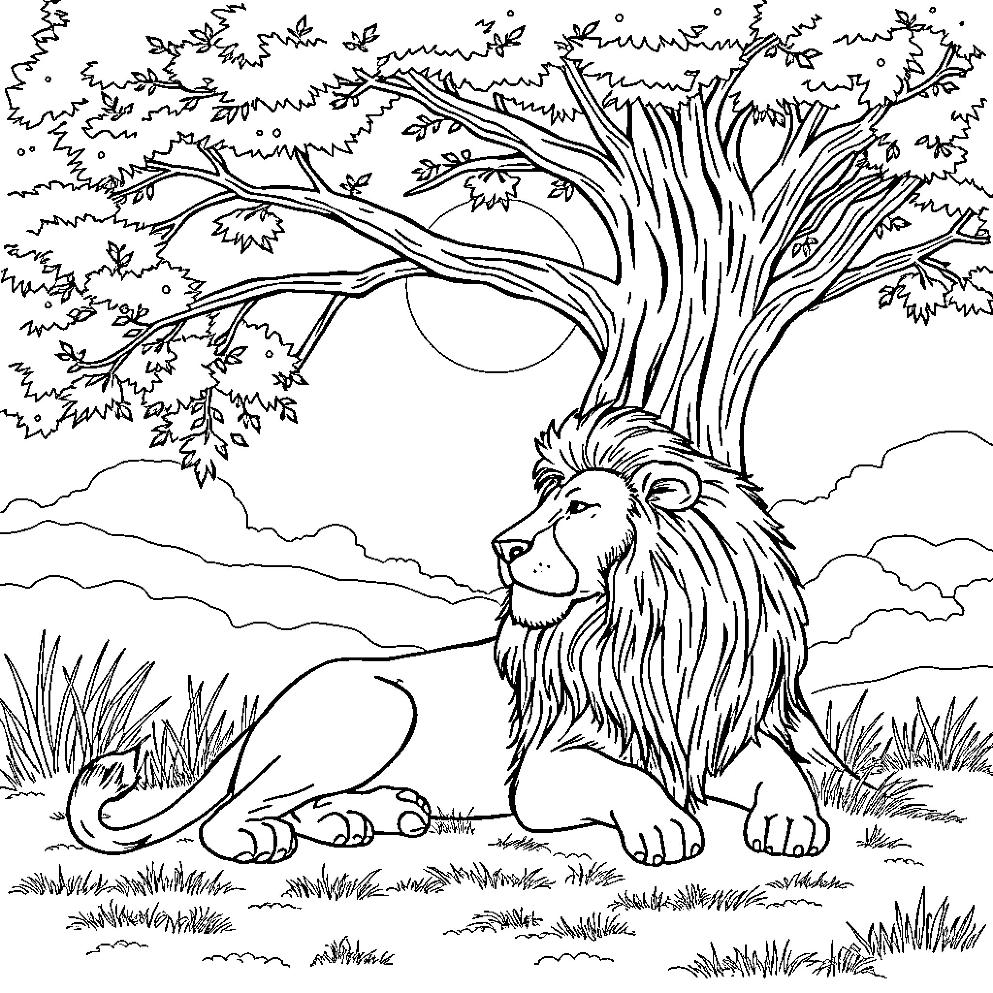 Lion resting under a large tree in nature Coloring Page (free black-and-white line drawing printable PDF for all, from beginners to advanced learners, including children, teens, adults, and seniors)