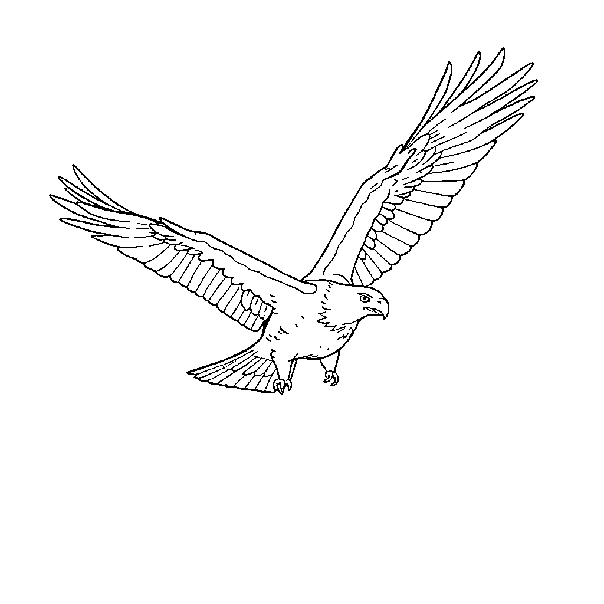 Eagle soaring with outstretched wings Coloring Page (free black-and-white line drawing printable PDF for all, from beginners to advanced learners, including children, teens, adults, and seniors)