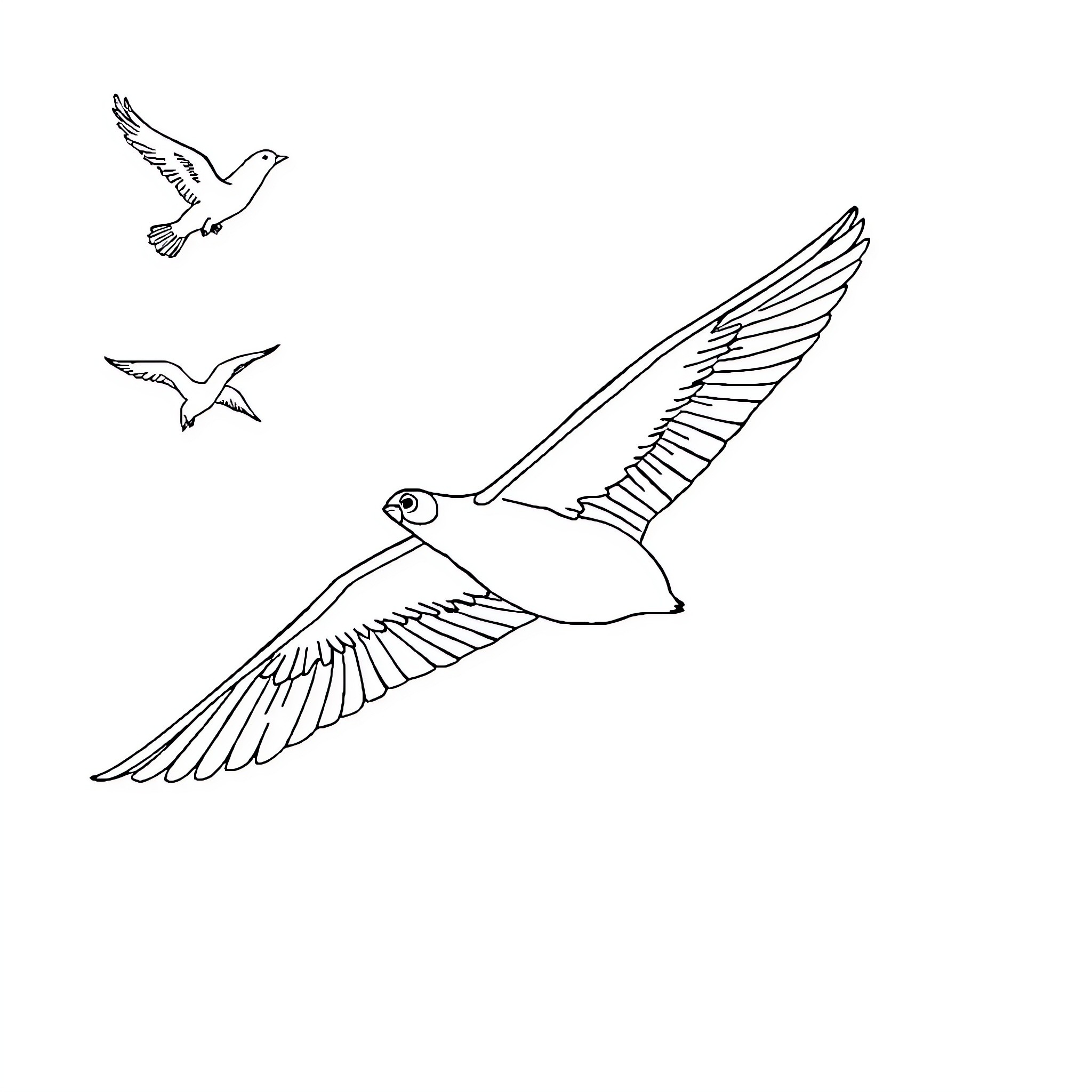 Avión de aves volando en el cielo Coloring Page (free black-and-white line drawing printable PDF for all, from beginners to advanced learners, including children, teens, adults, and seniors)