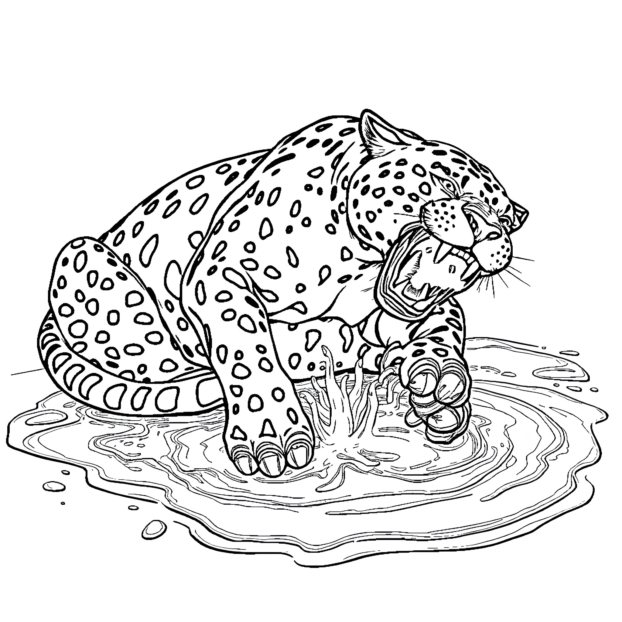 Panther Crouching and Baring Teeth in Muddy Puddle Coloring Page (free black-and-white line drawing printable PDF for all, from beginners to advanced learners, including children, teens, adults, and seniors)