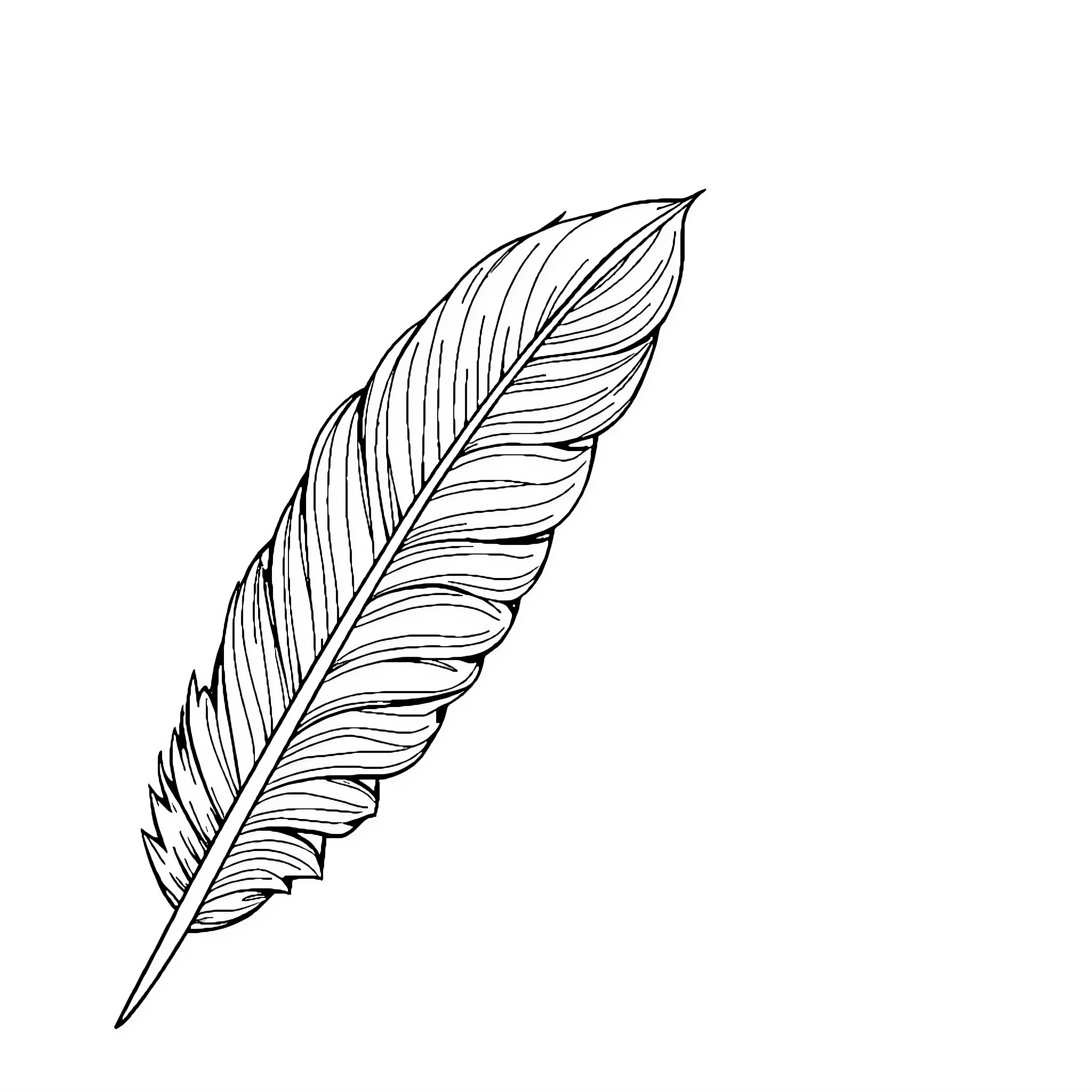 Feather soaring gracefully through the air Coloring Page (free black-and-white line drawing printable PDF for all, from beginners to advanced learners, including children, teens, adults, and seniors)