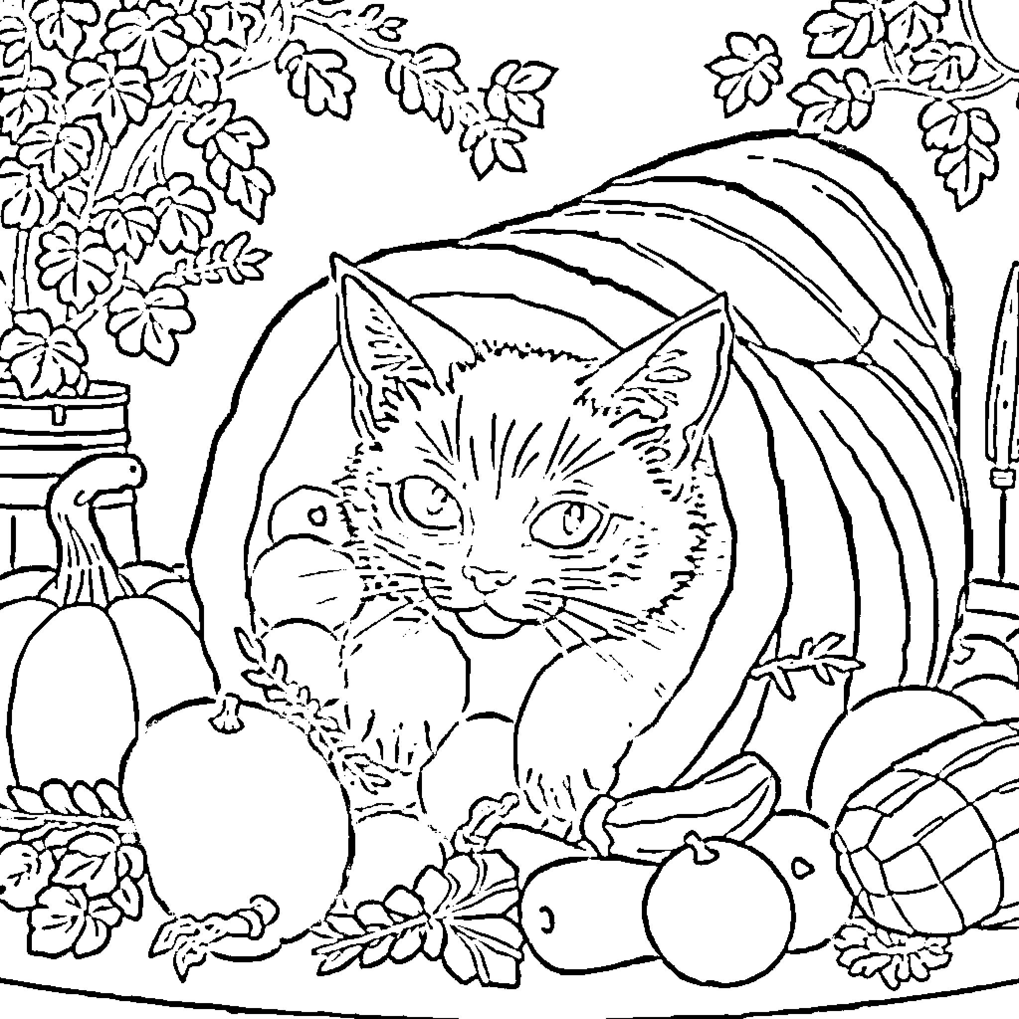 Siamese Cat relaxing among autumn leaves and fruits Coloring Page (free black-and-white line drawing printable PDF for all, from beginners to advanced learners, including children, teens, adults, and seniors)