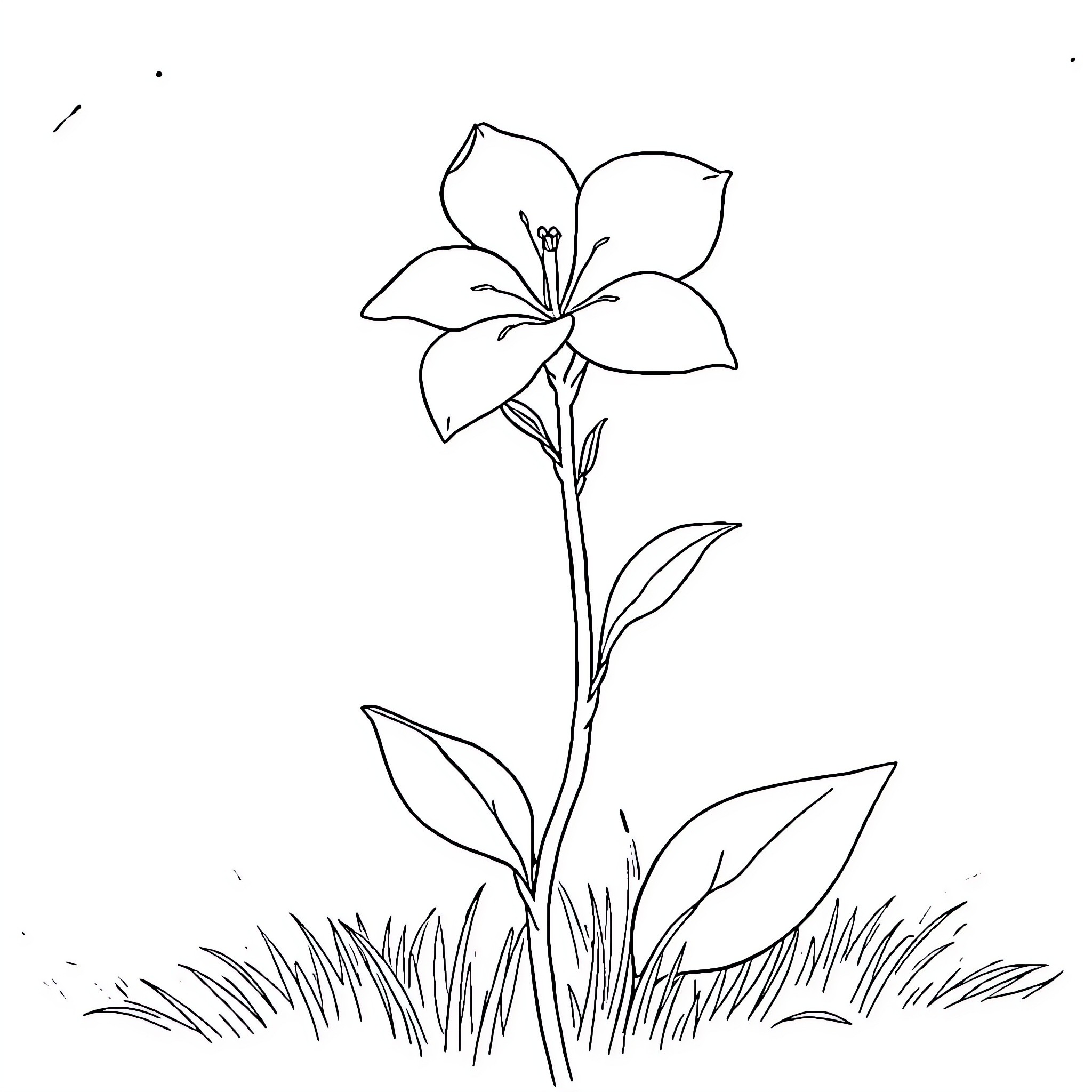 Jasmine flower blooming in the garden Coloring Page (free black-and-white line drawing printable PDF for all, from beginners to advanced learners, including children, teens, adults, and seniors)