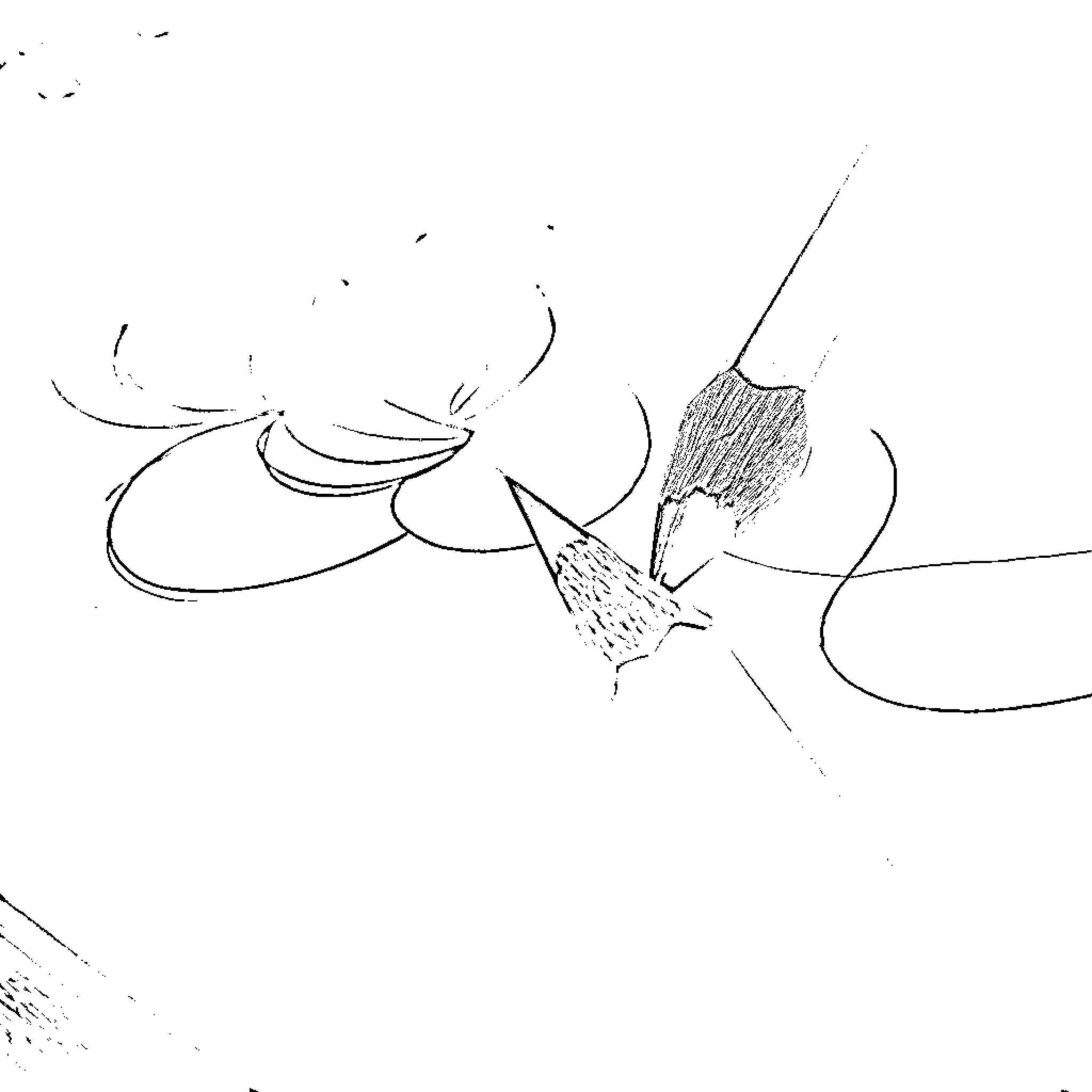 Pencil sketching abstract artistic expressions Coloring Page (free black-and-white line drawing printable PDF for all, from beginners to advanced learners, including children, teens, adults, and seniors)