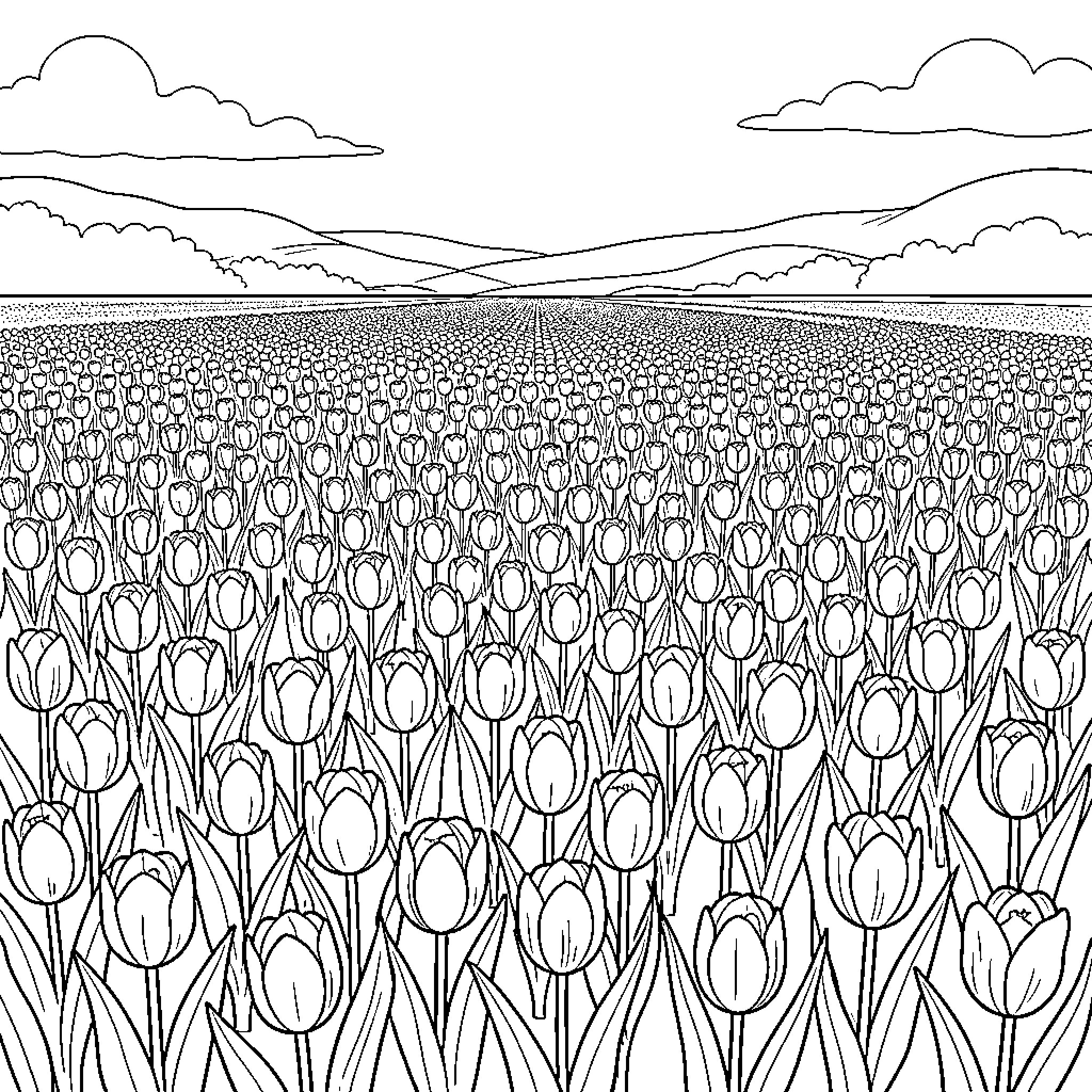 Tulip Field in the Countryside Coloring Page (free black-and-white line drawing printable PDF for all, from beginners to advanced learners, including children, teens, adults, and seniors)