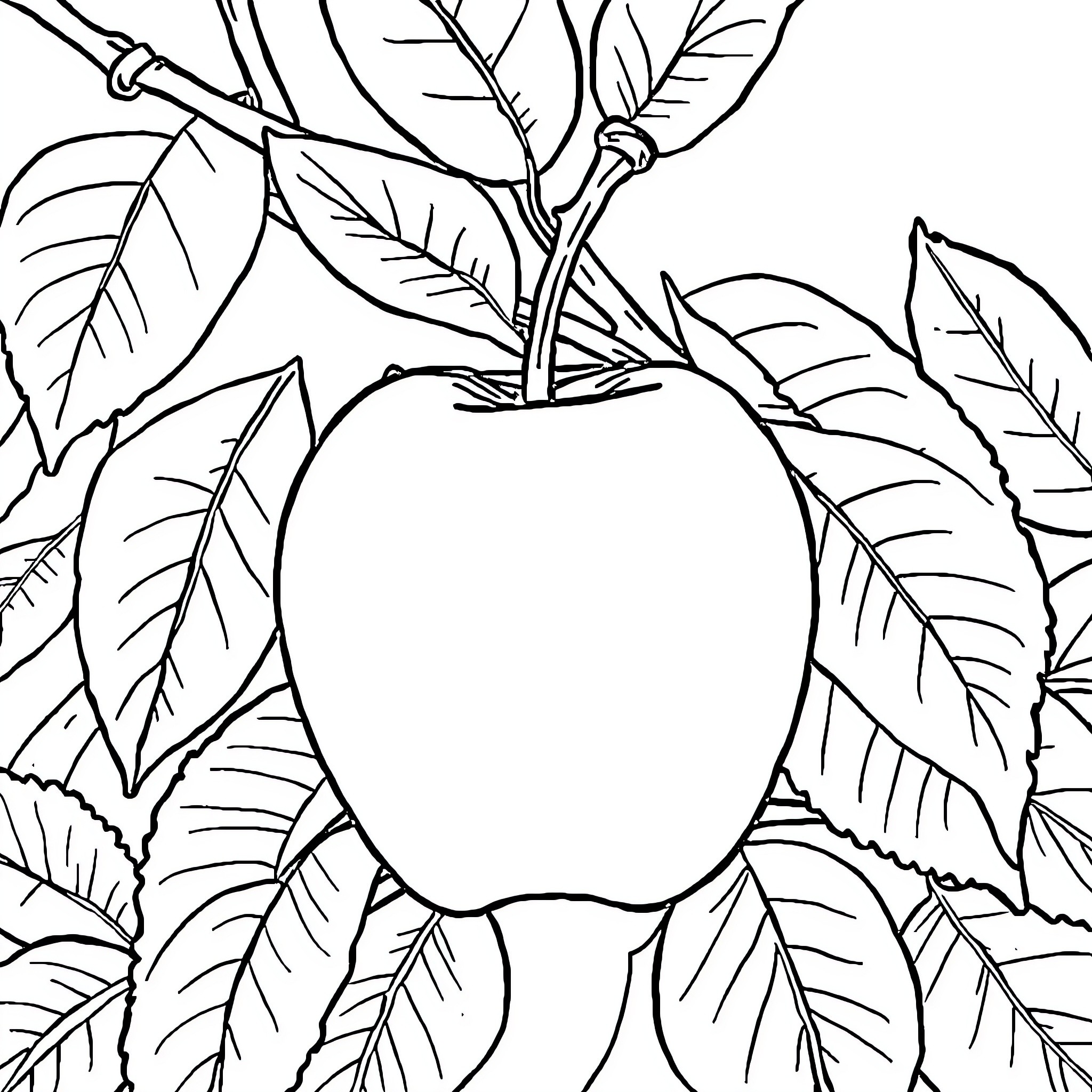 Apple growing among the leaves Coloring Page (free black-and-white line drawing printable PDF for all, from beginners to advanced learners, including children, teens, adults, and seniors)