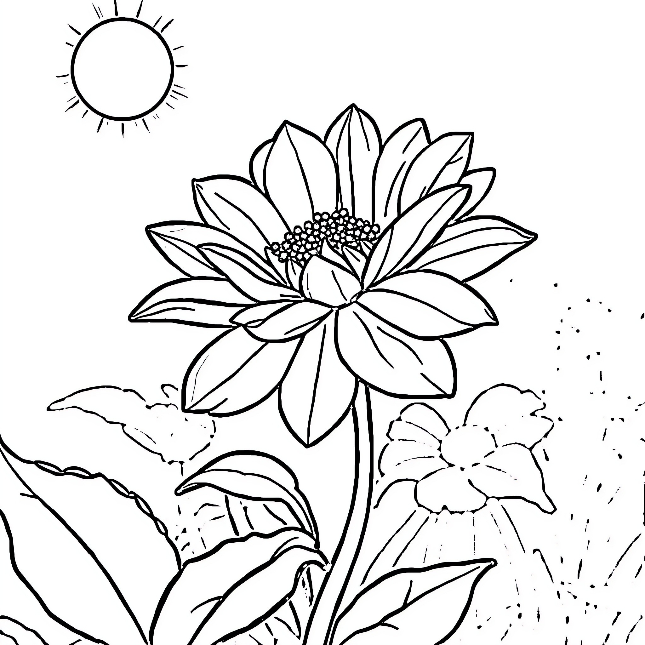 Flower blooming in the sunlight Coloring Page (free black-and-white line drawing printable PDF for all, from beginners to advanced learners, including children, teens, adults, and seniors)