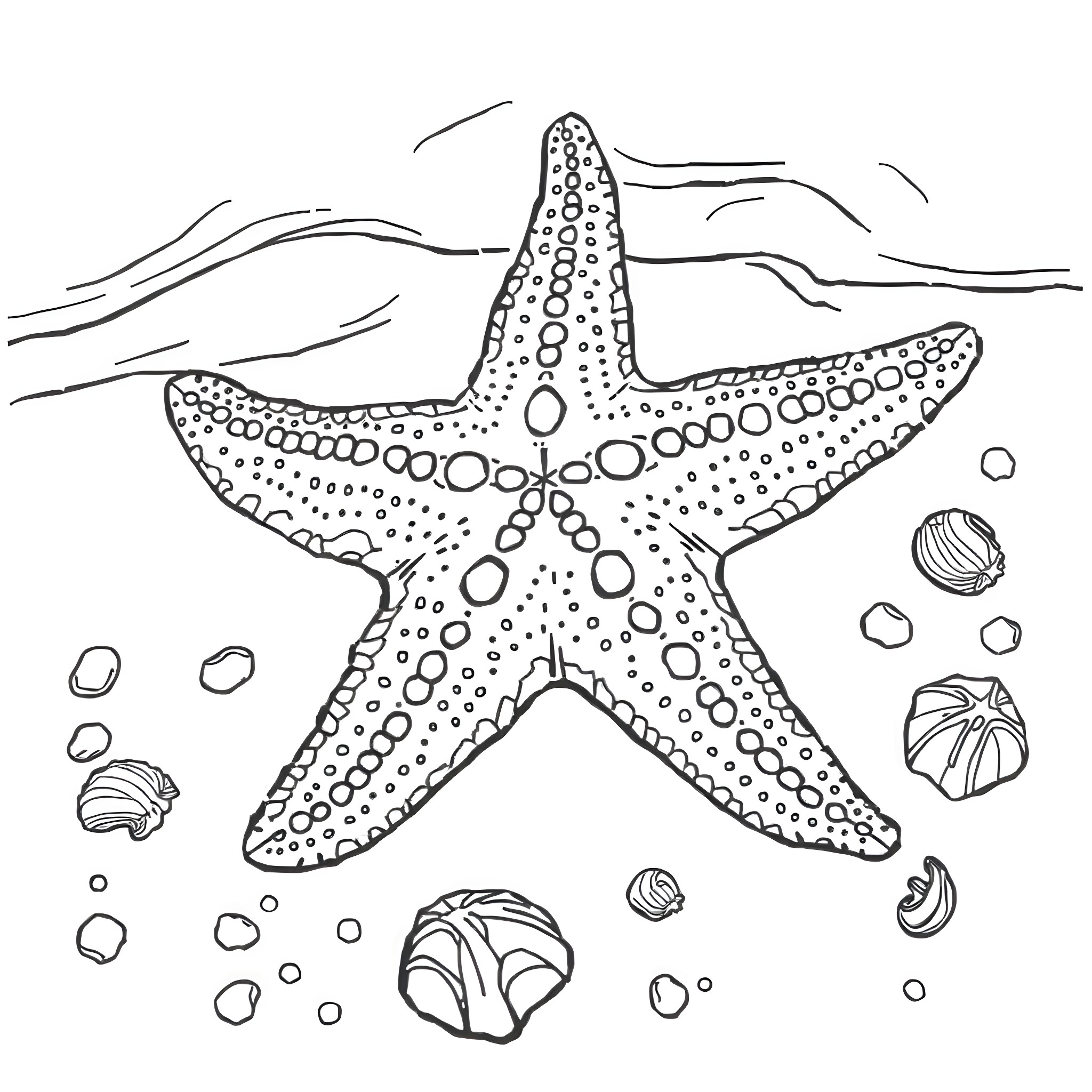 Starfish resting on the sandy ocean floor Coloring Page (free black-and-white line drawing printable PDF for all, from beginners to advanced learners, including children, teens, adults, and seniors)