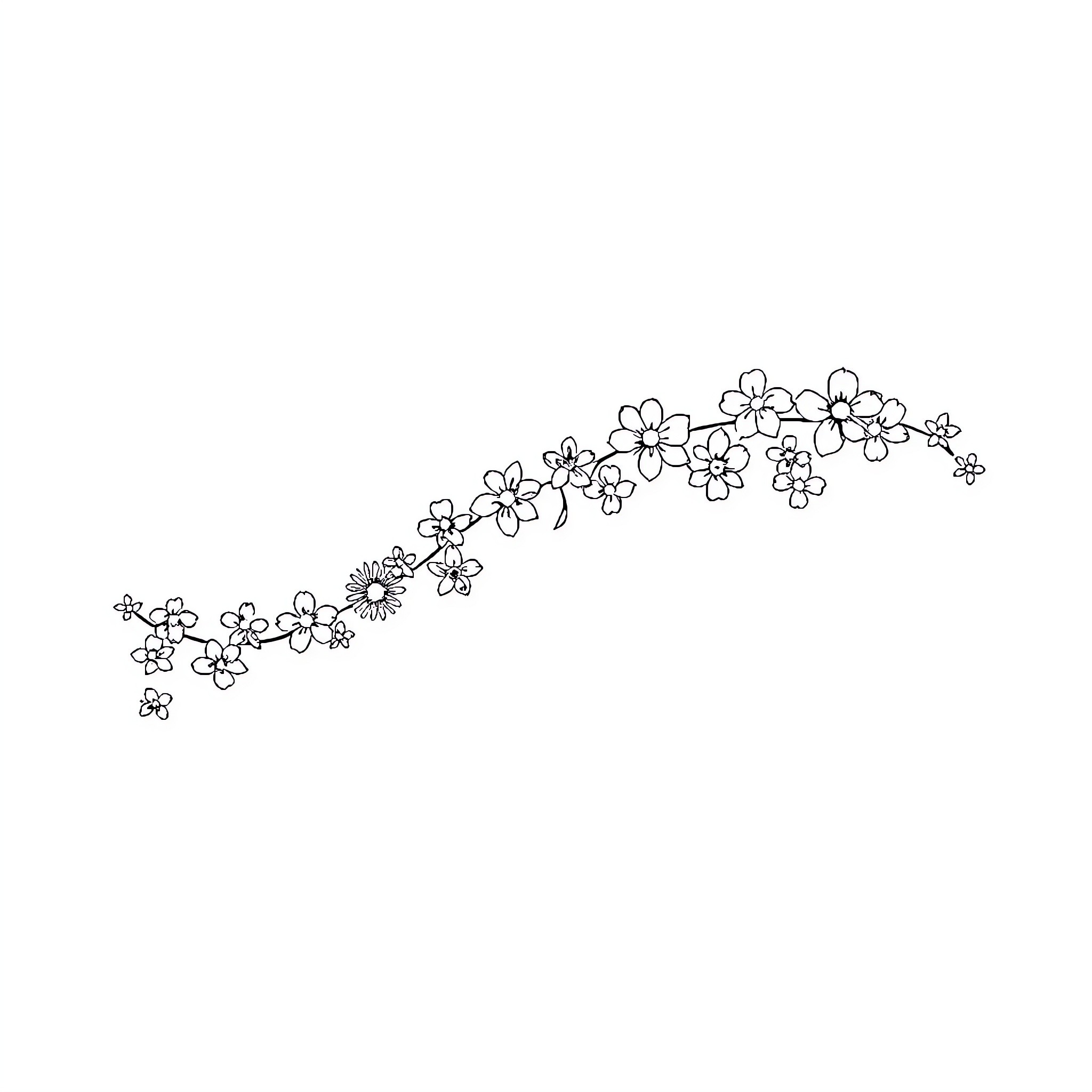 Firefly flowers swirling in the breeze Coloring Page (free black-and-white line drawing printable PDF for all, from beginners to advanced learners, including children, teens, adults, and seniors)