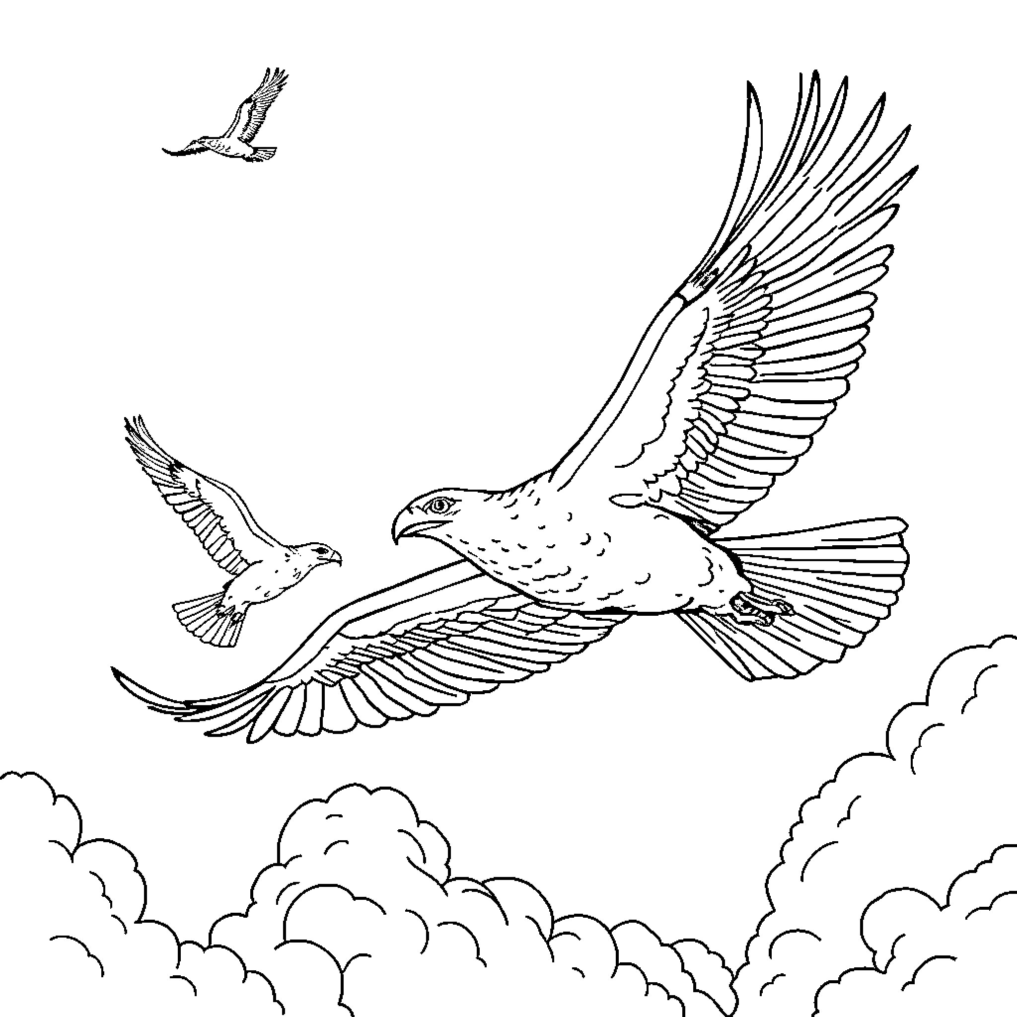Birds soaring freely through the clouded sky Coloring Page (free black-and-white line drawing printable PDF for all, from beginners to advanced learners, including children, teens, adults, and seniors)