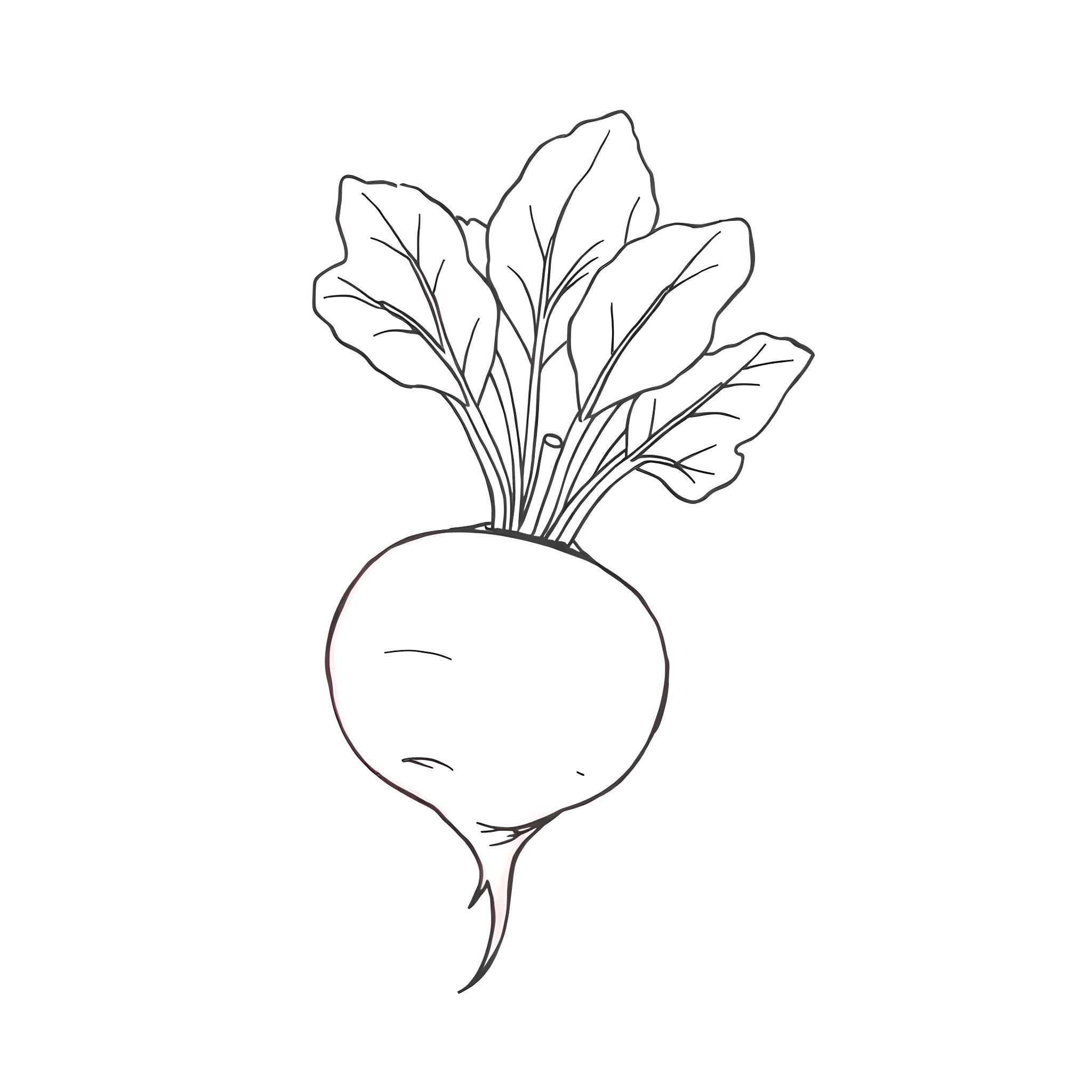 Beetroot with lush leafy greens Coloring Page (free black-and-white line drawing printable PDF for all, from beginners to advanced learners, including children, teens, adults, and seniors)