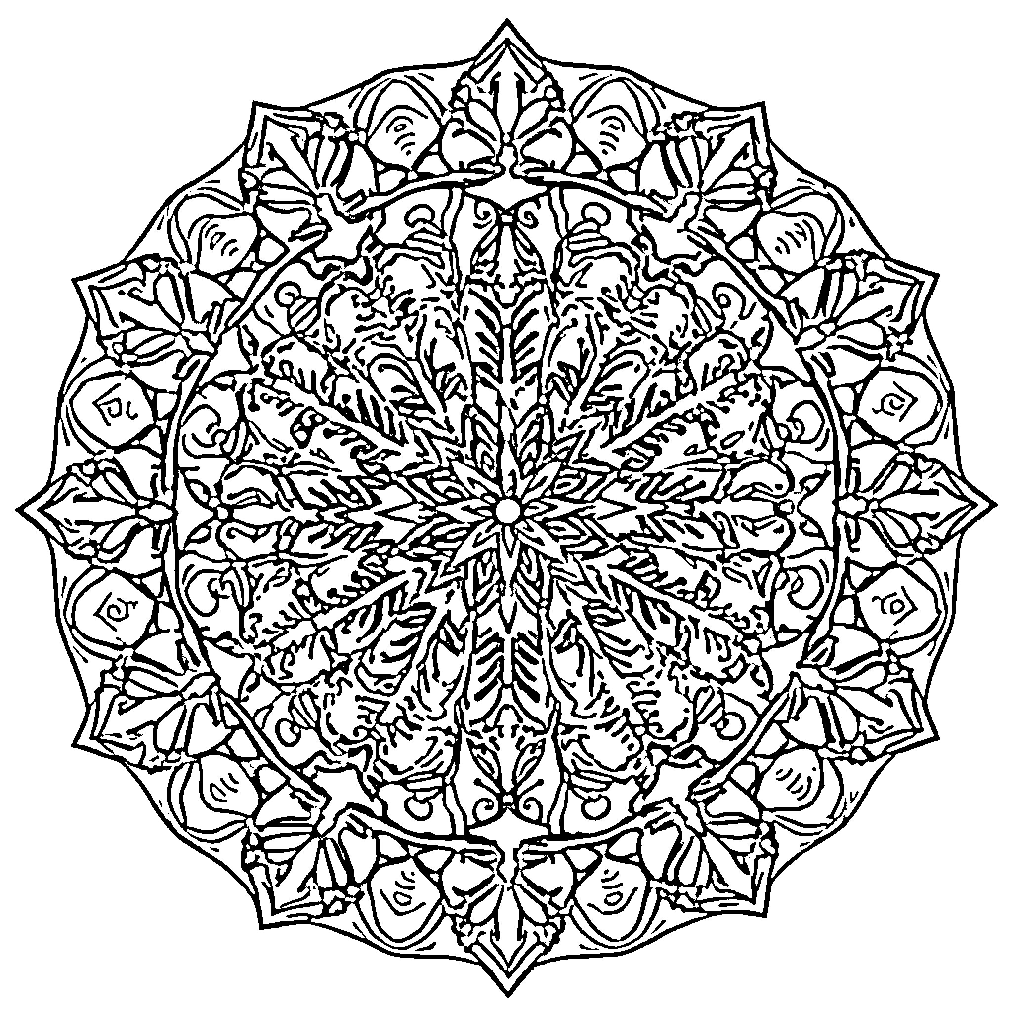 Mandala of intricate floral patterns and geometric shapes Coloring Page (free black-and-white line drawing printable PDF for all, from beginners to advanced learners, including children, teens, adults, and seniors)