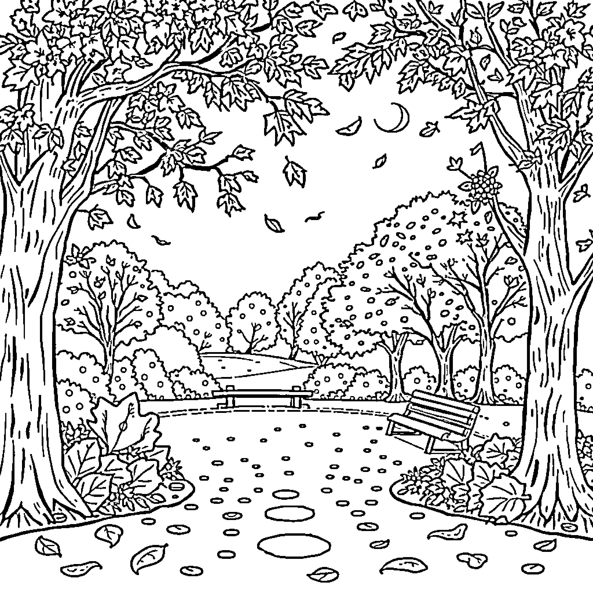 Autumn Woodland Wonderland Coloring Page (free black-and-white line drawing printable PDF for all, from beginners to advanced learners, including children, teens, adults, and seniors)