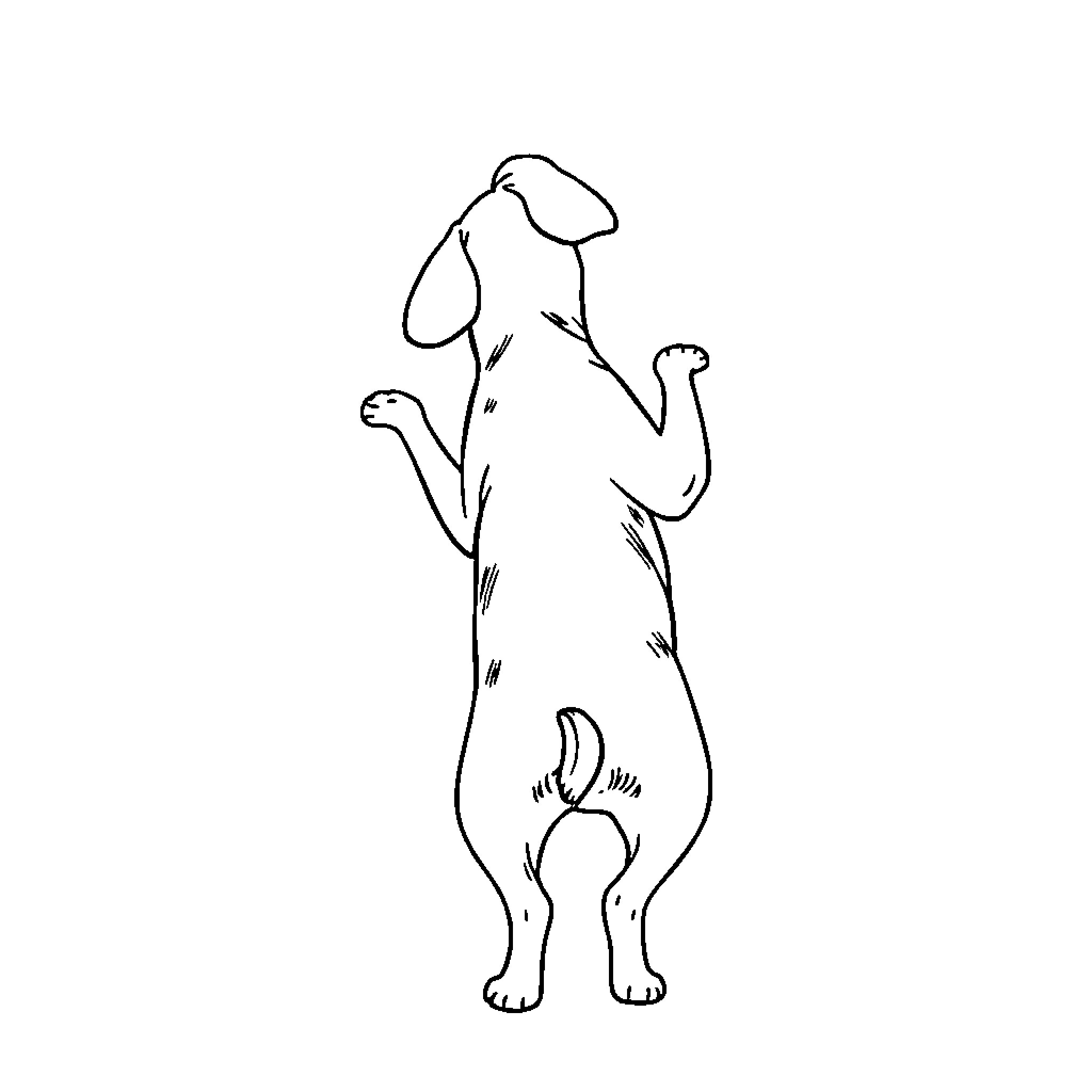 Dog standing up and stretching Coloring Page (free black-and-white line drawing printable PDF for all, from beginners to advanced learners, including children, teens, adults, and seniors)