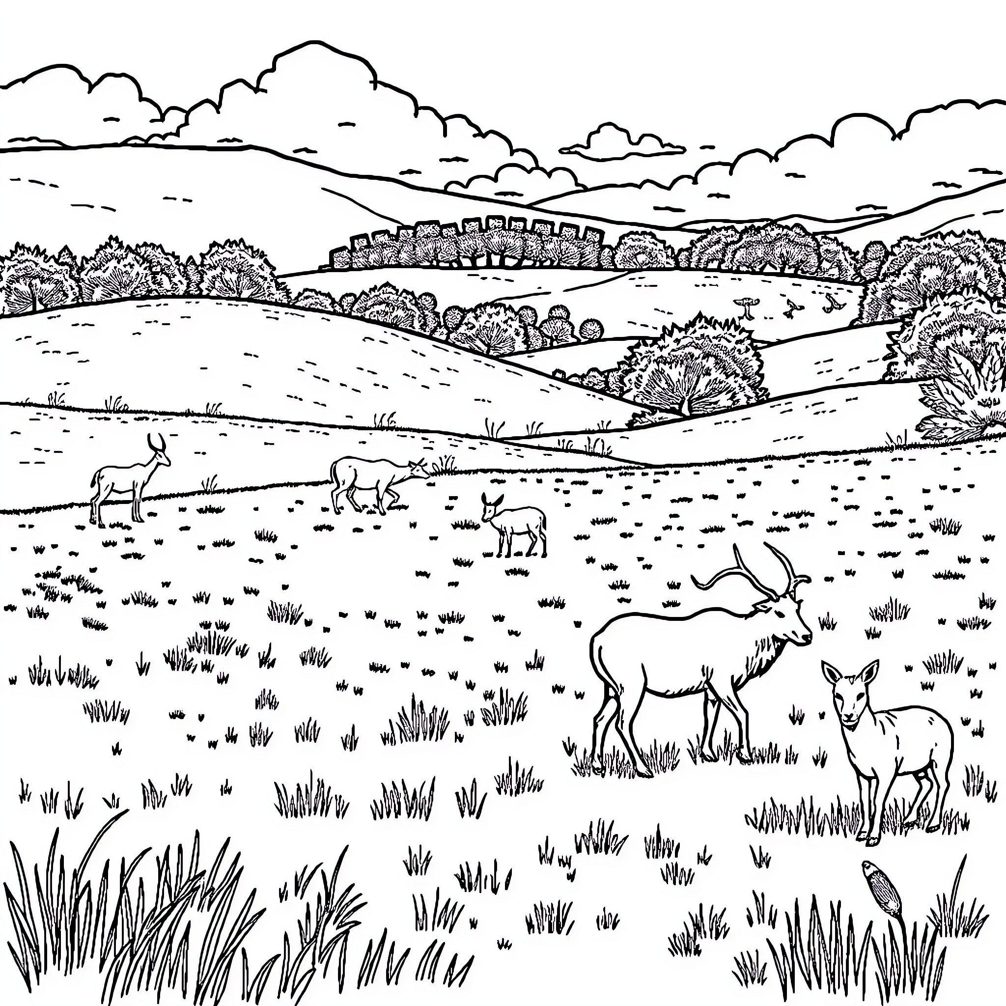 Animals grazing peacefully in a pastoral landscape Coloring Page (free black-and-white line drawing printable PDF for all, from beginners to advanced learners, including children, teens, adults, and seniors)