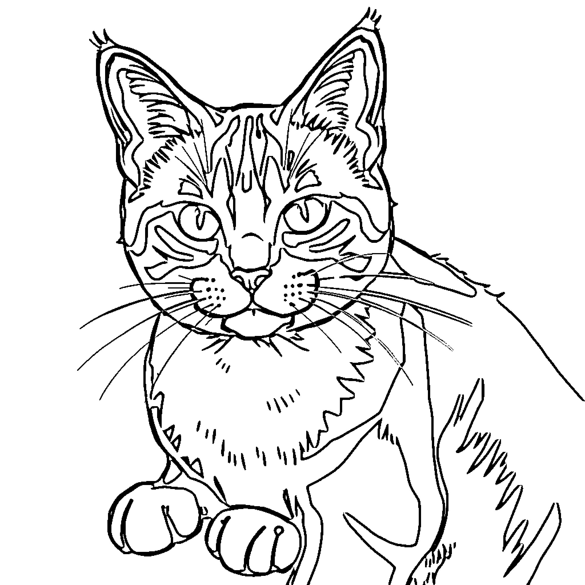 Lucky Cat Playfully Peeking Coloring Page (free black-and-white line drawing printable PDF for all, from beginners to advanced learners, including children, teens, adults, and seniors)