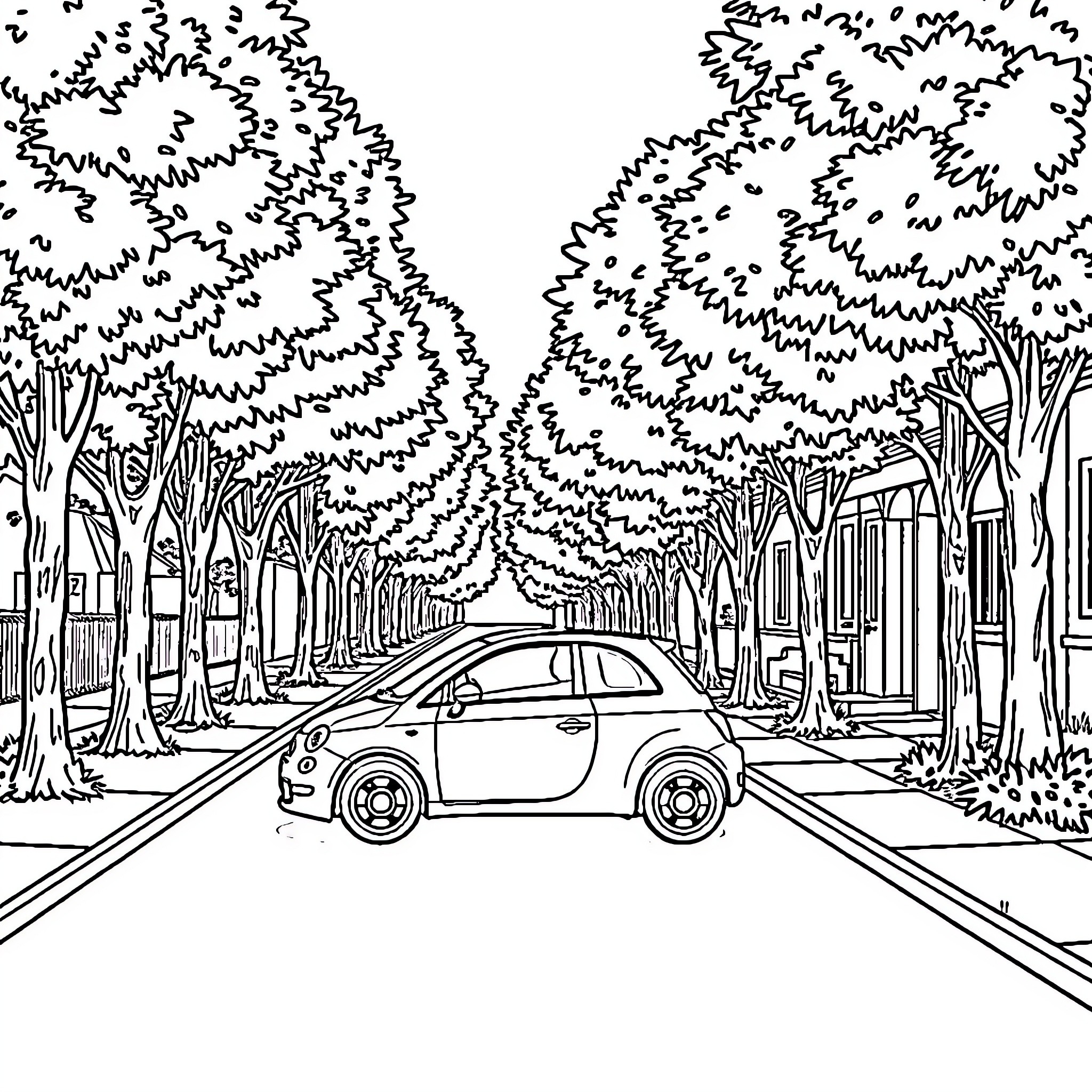 Car driving down a tree-lined street Coloring Page (free black-and-white line drawing printable PDF for all, from beginners to advanced learners, including children, teens, adults, and seniors)