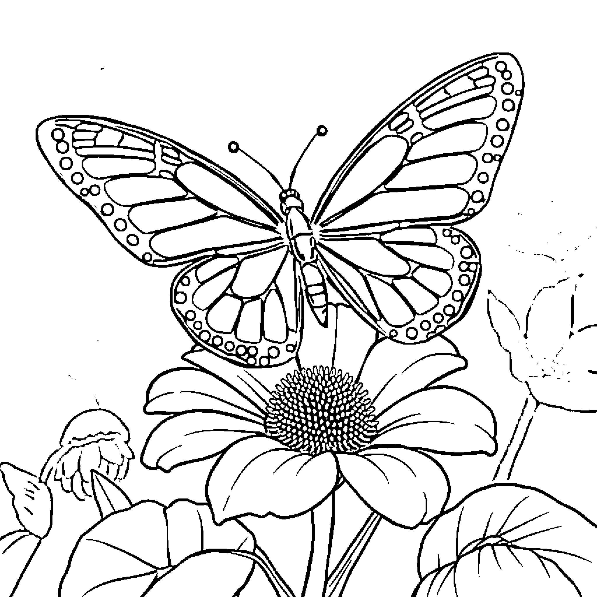 Butterfly resting on a floral garden Coloring Page (free black-and-white line drawing printable PDF for all, from beginners to advanced learners, including children, teens, adults, and seniors)