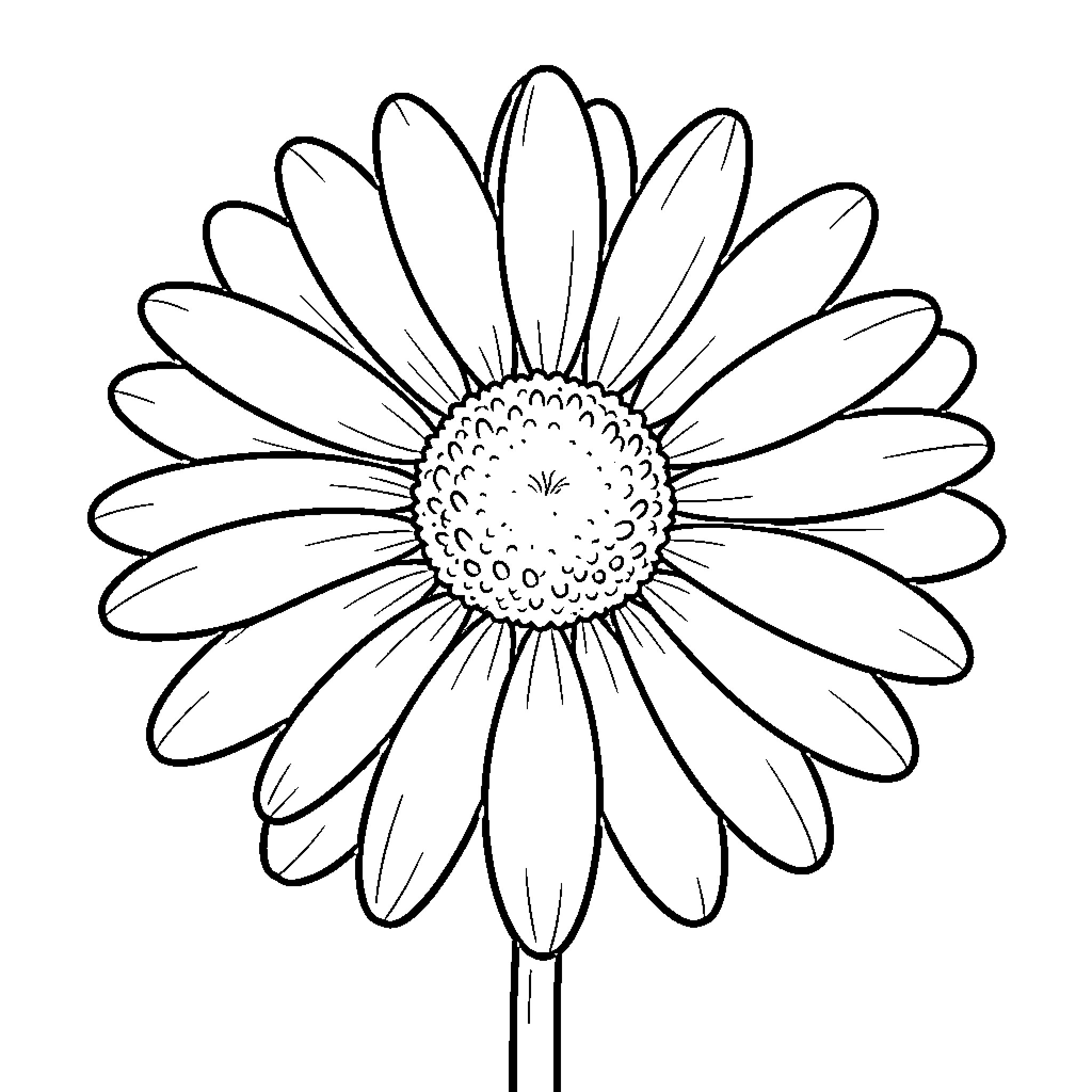 Daisy blooming gracefully with many delicate petals Coloring Page (free black-and-white line drawing printable PDF for all, from beginners to advanced learners, including children, teens, adults, and seniors)