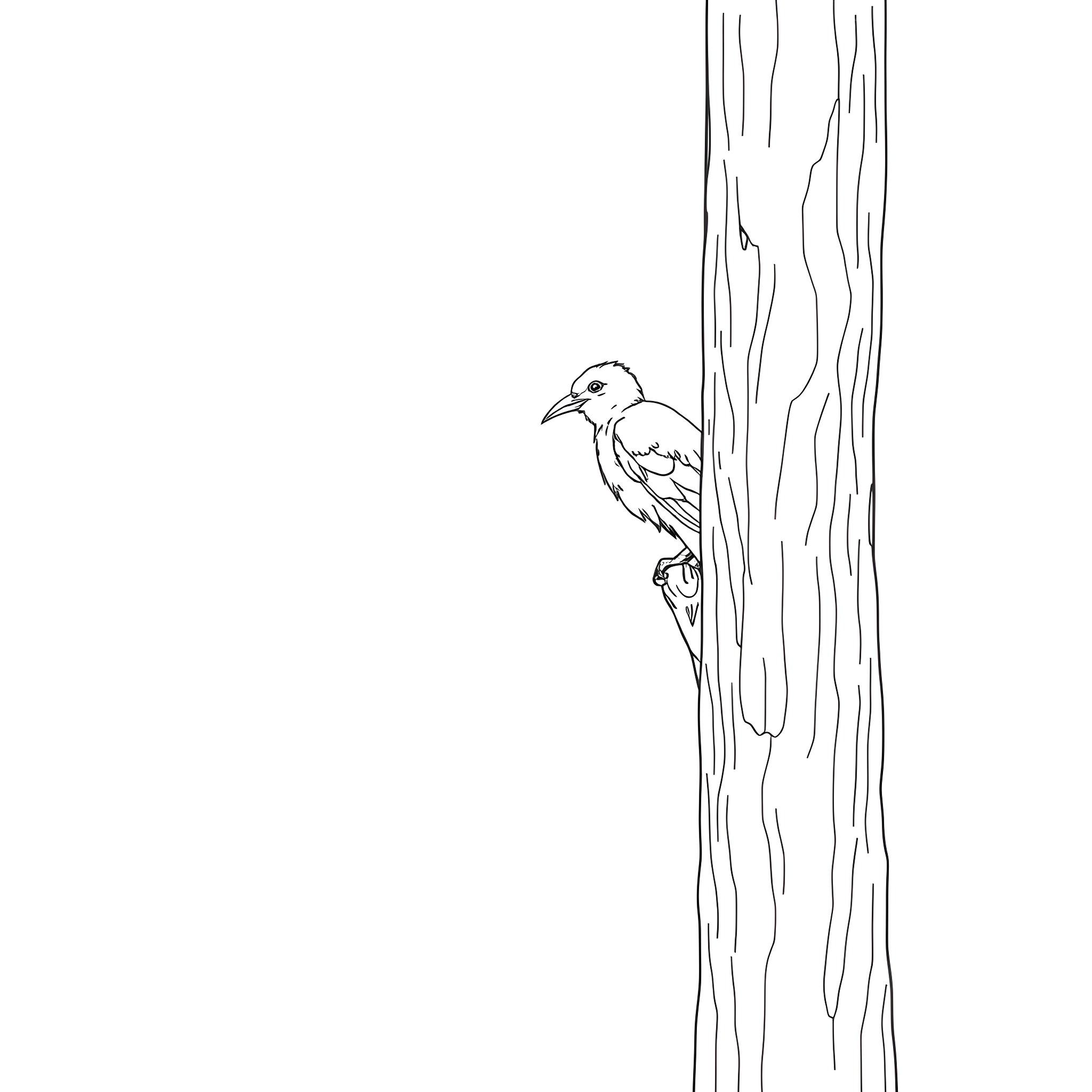 Emberiza Citrinella perching on the bark of a tree Coloring Page (free black-and-white line drawing printable PDF for all, from beginners to advanced learners, including children, teens, adults, and seniors)