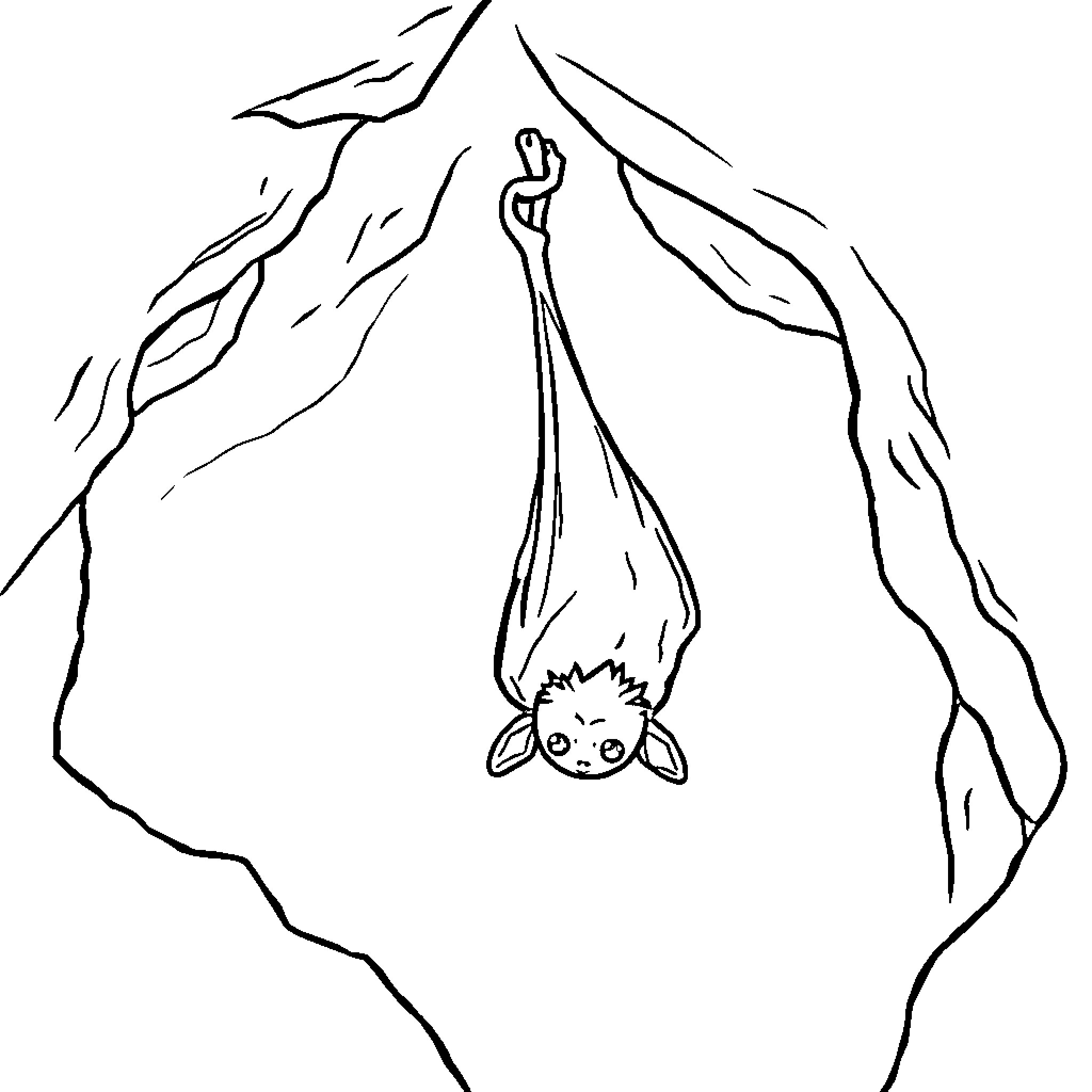 Bat hanging from cave ceiling Coloring Page (free black-and-white line drawing printable PDF for all, from beginners to advanced learners, including children, teens, adults, and seniors)
