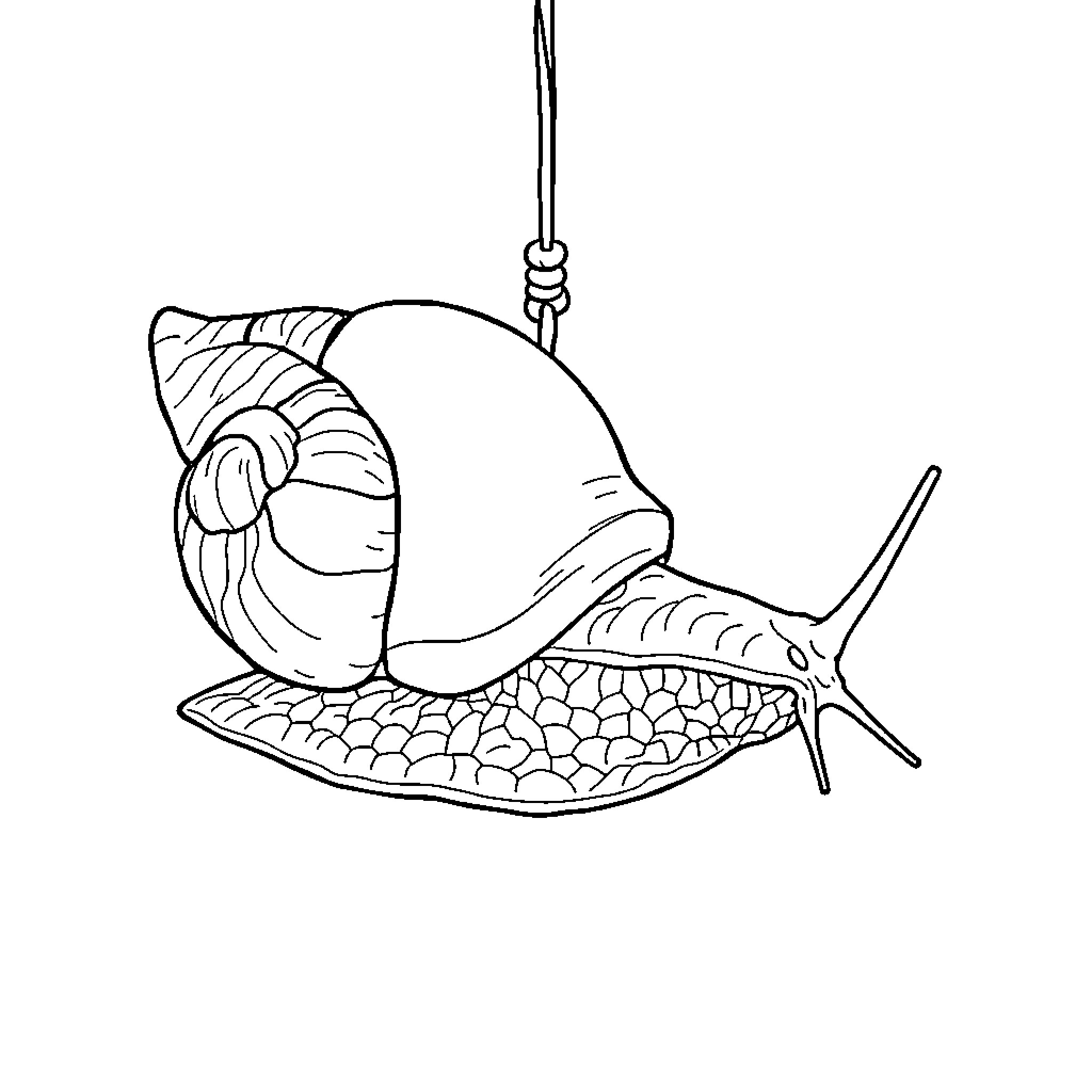 Escargot dangling from a rope Coloring Page (free black-and-white line drawing printable PDF for all, from beginners to advanced learners, including children, teens, adults, and seniors)