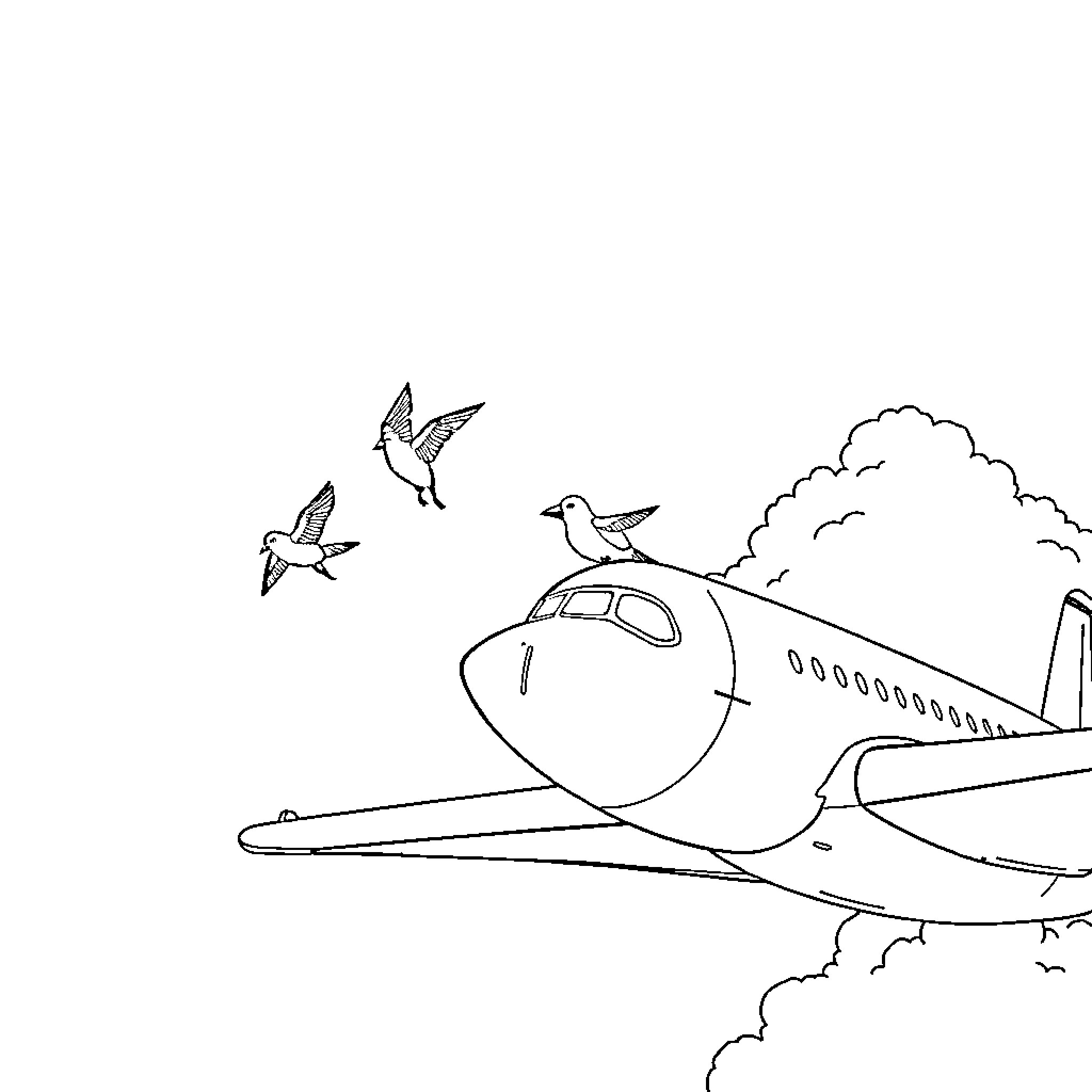 Bird soaring alongside aircraft in the sky Coloring Page (free black-and-white line drawing printable PDF for all, from beginners to advanced learners, including children, teens, adults, and seniors)