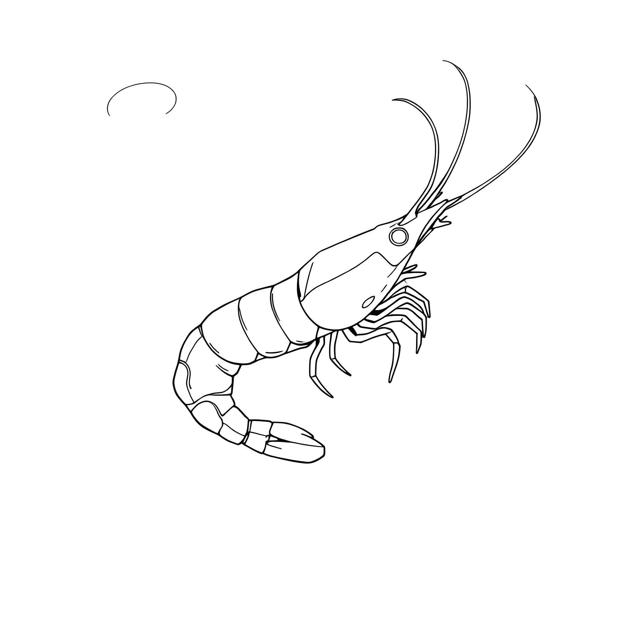 Shrimp swimming with graceful movements Coloring Page (free black-and-white line drawing printable PDF for all, from beginners to advanced learners, including children, teens, adults, and seniors)